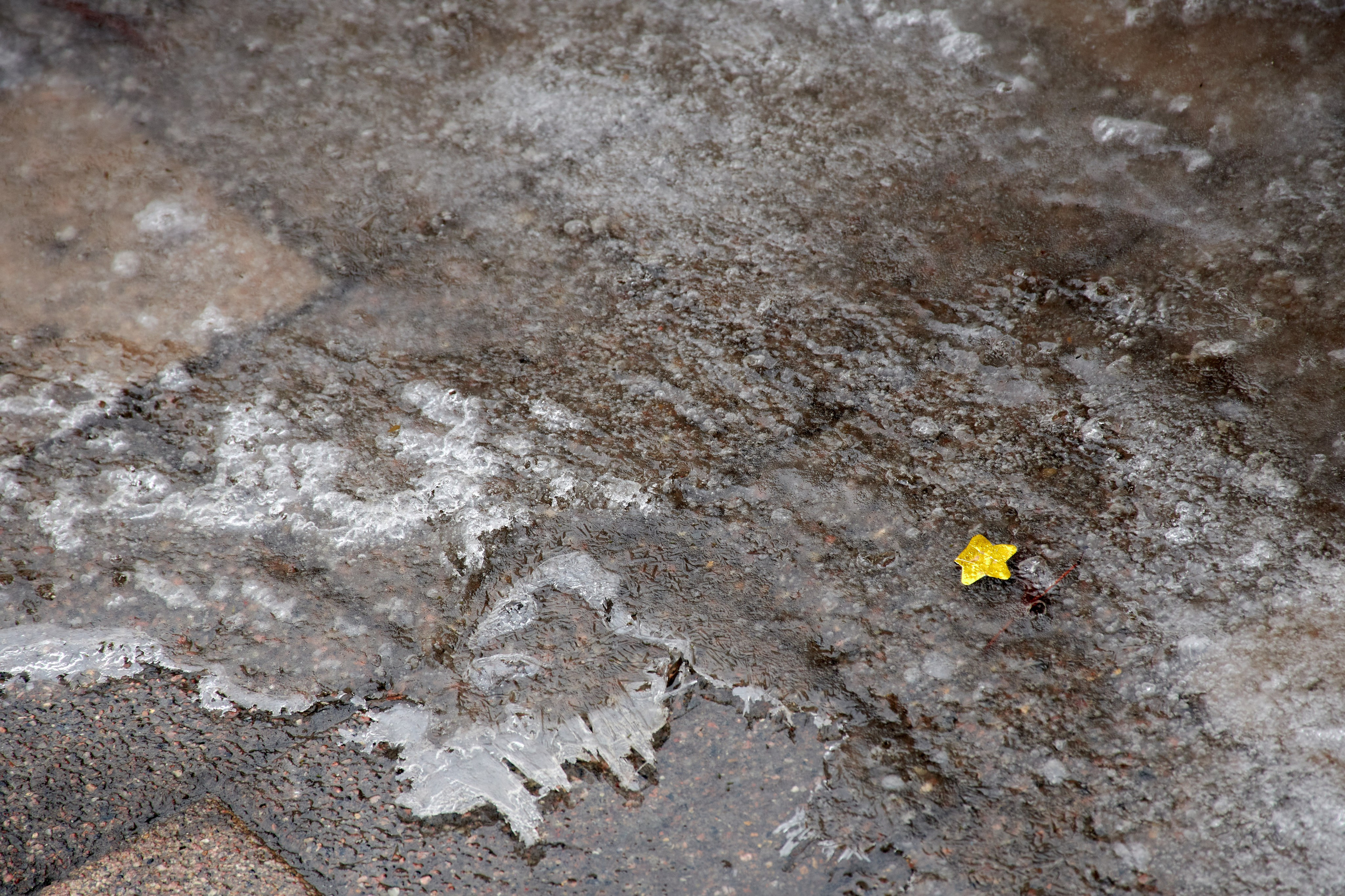 20210316-18 Тула. Дмитрий Ремизов. Фотография, как хобби