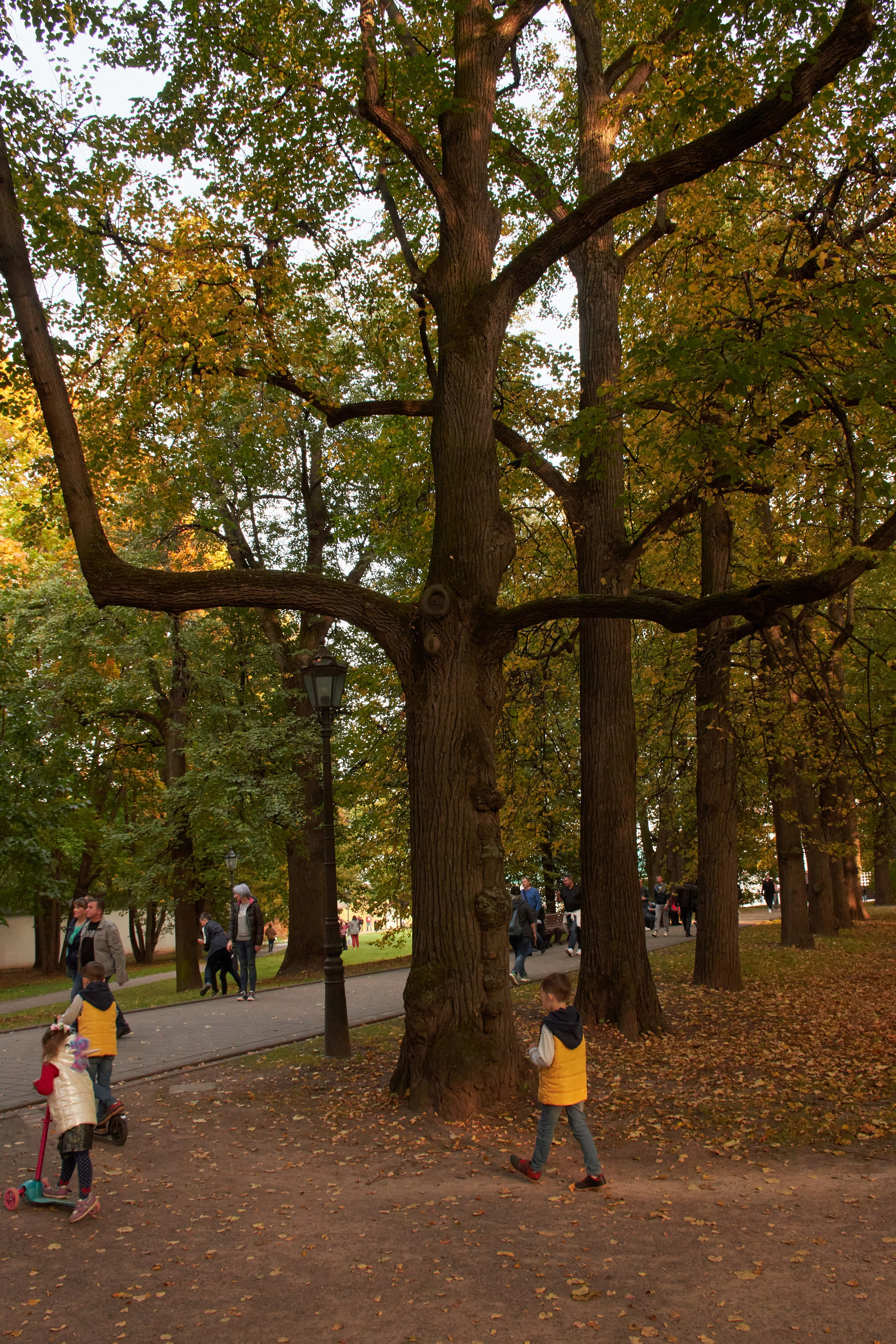 20200927 Коломенское. Дмитрий Ремизов. Фотография, как хобби