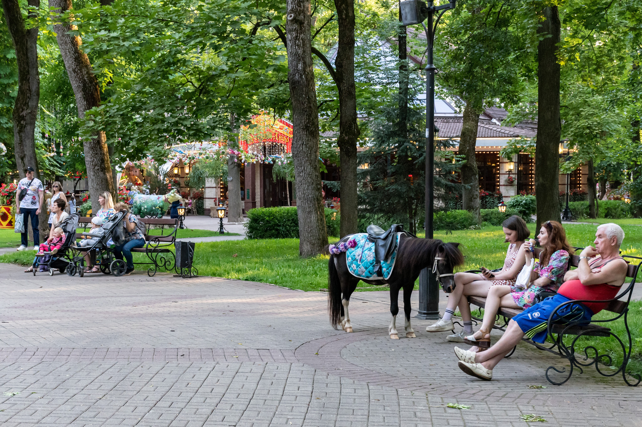 20220803-04 Смоленск. Дмитрий Ремизов. Фотография, как хобби