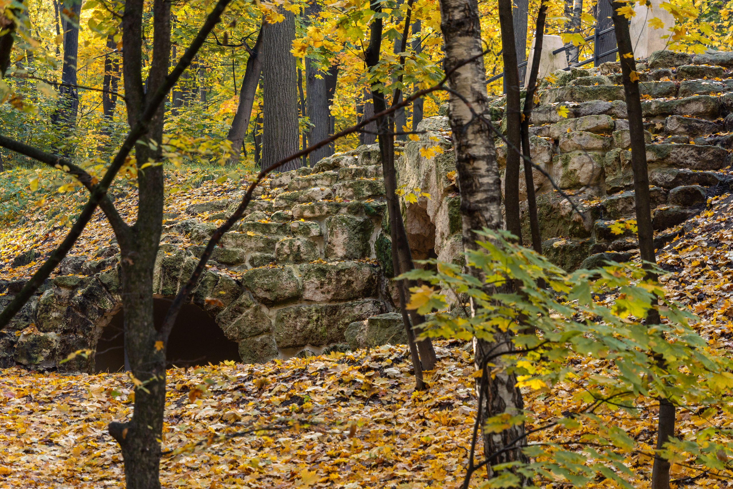20251011 Нескучный сад. Дмитрий Ремизов. Фотография, как хобби