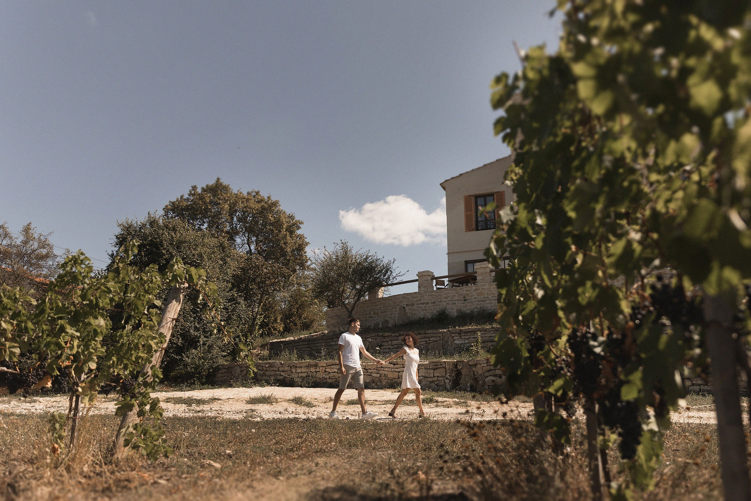 Wine and sea. Sovushka DS