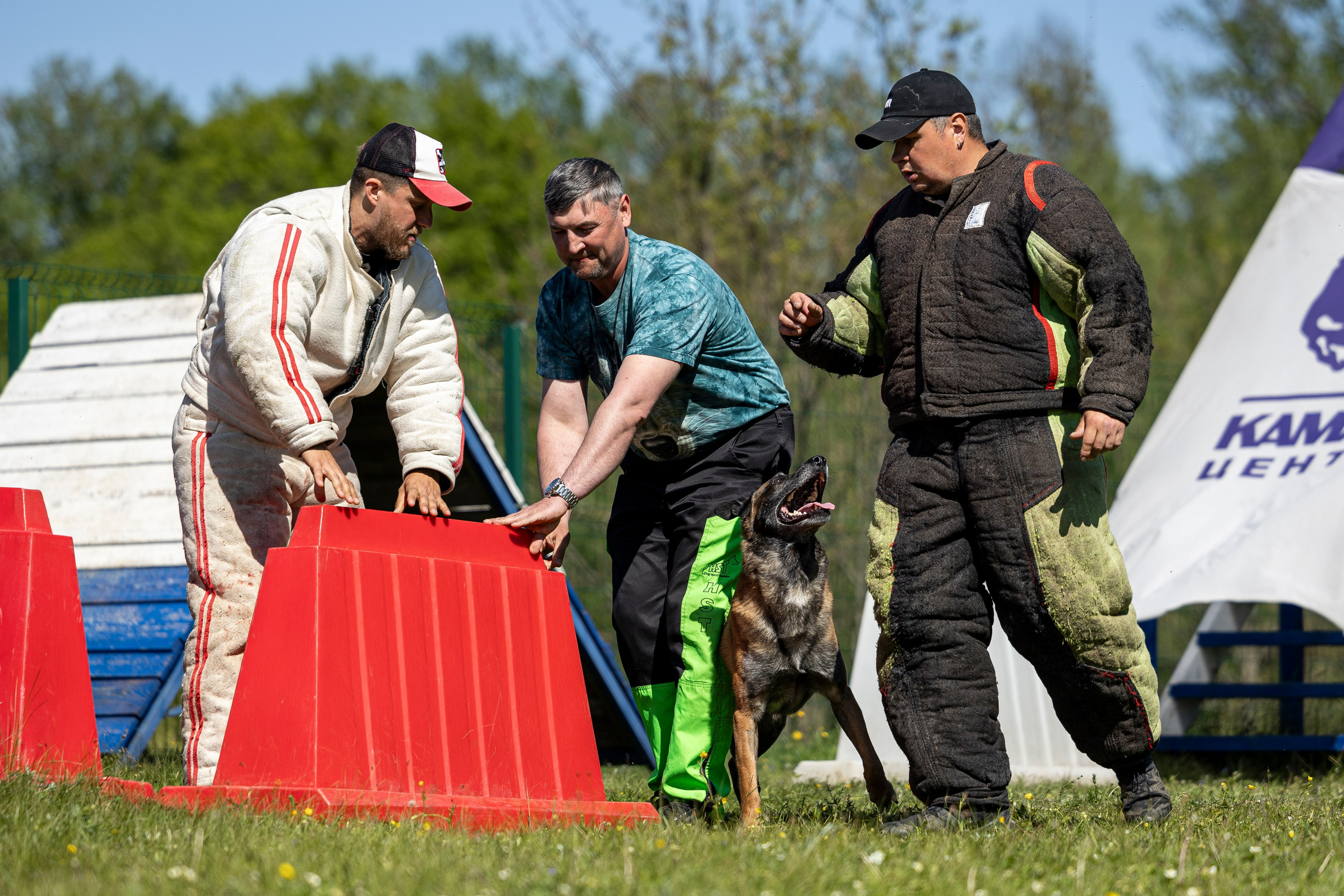 Испытания по мондьорингу в Нижнем Новгороде. Фотограф-анималист Анна Маринич