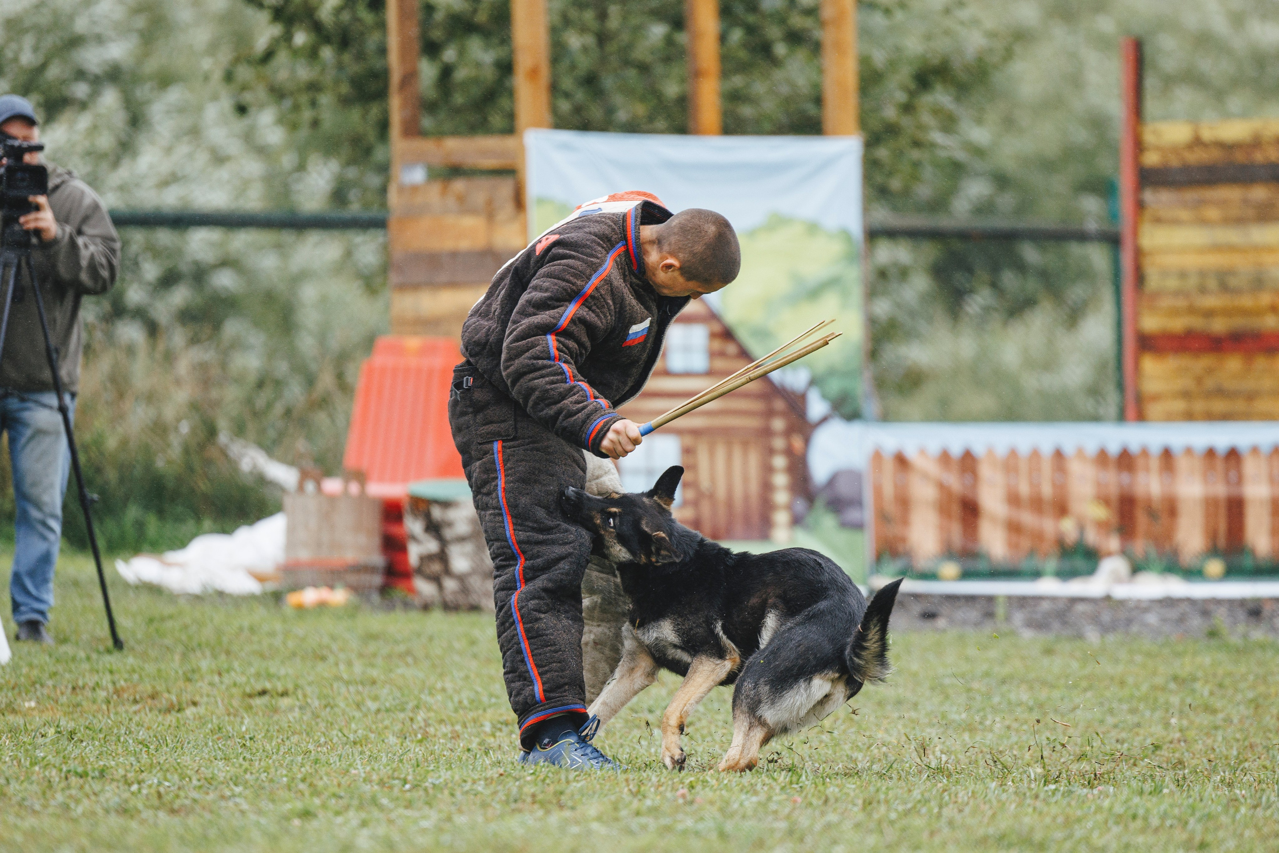 08.08.25-10.08.25 ЧР по мондьорингу г. Вологда. Фотограф-анималист Анна Маринич