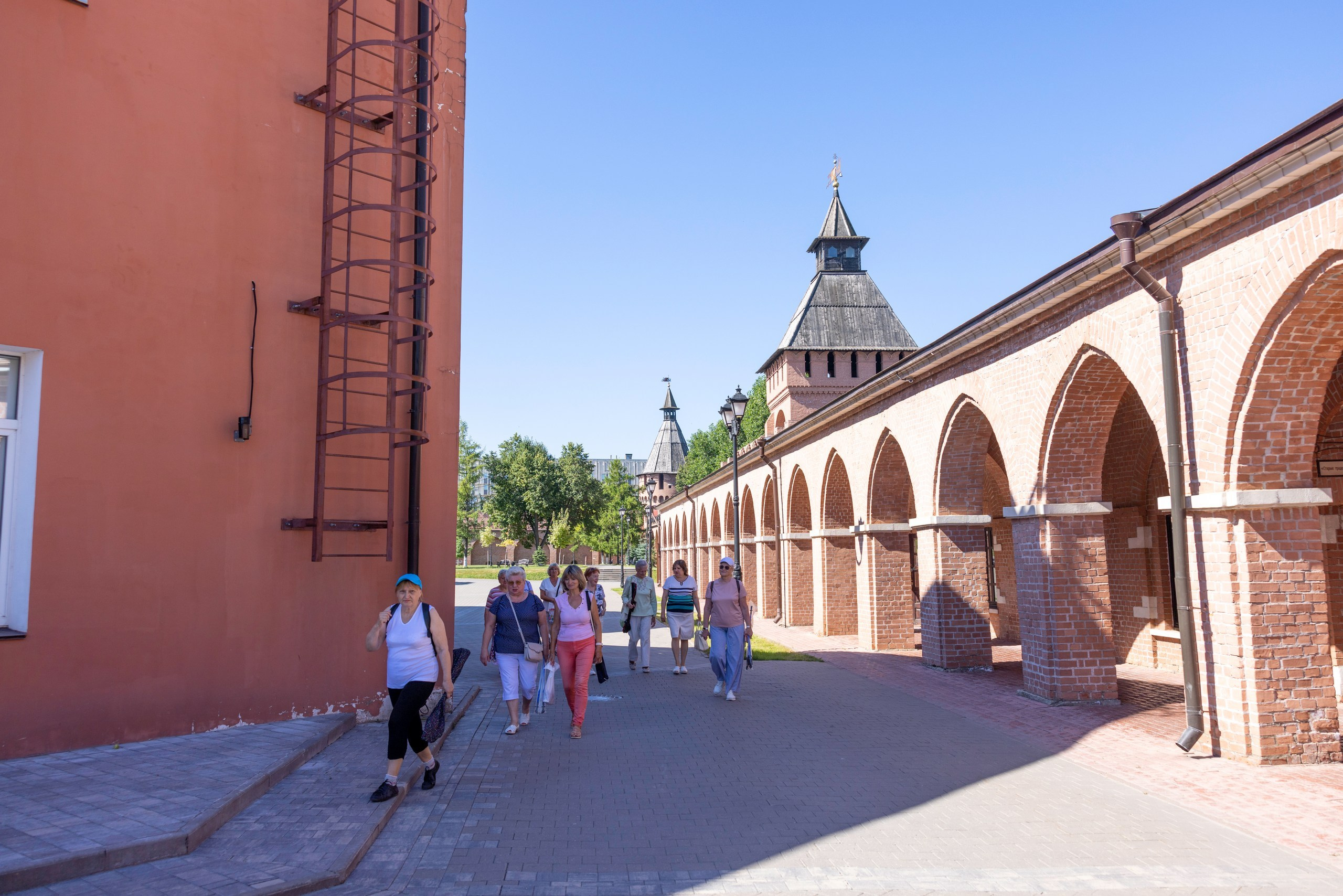 Фестиваль «Ромашковый хоровод». Северная ходьба. Фотограф в Туле Крупский АнДРей. Фотостудия «КАДР71» в Туле