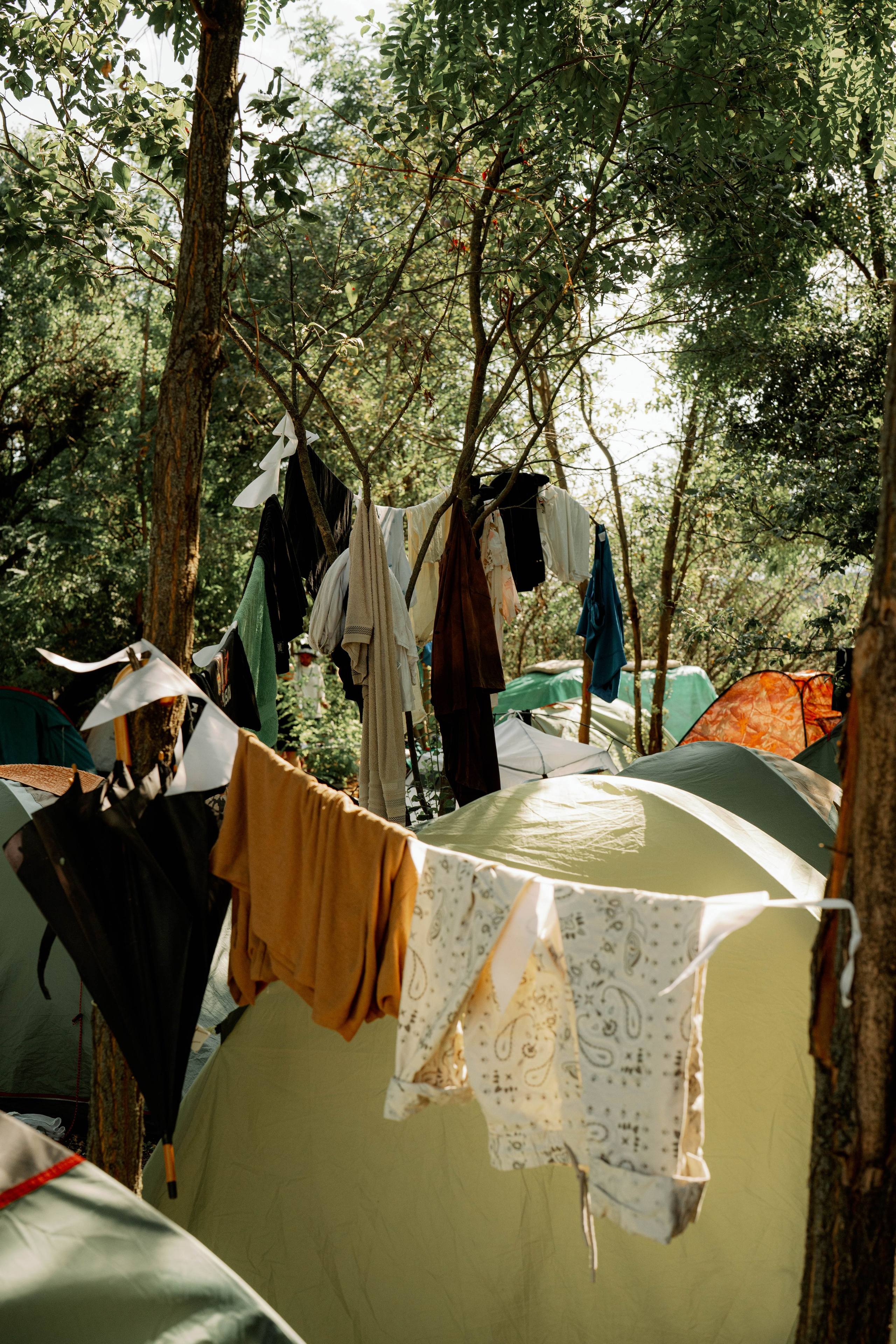 ASS FAMILY | СОН В ДЕРЕВНЕ | АВИАРЕЖИМ 8.0