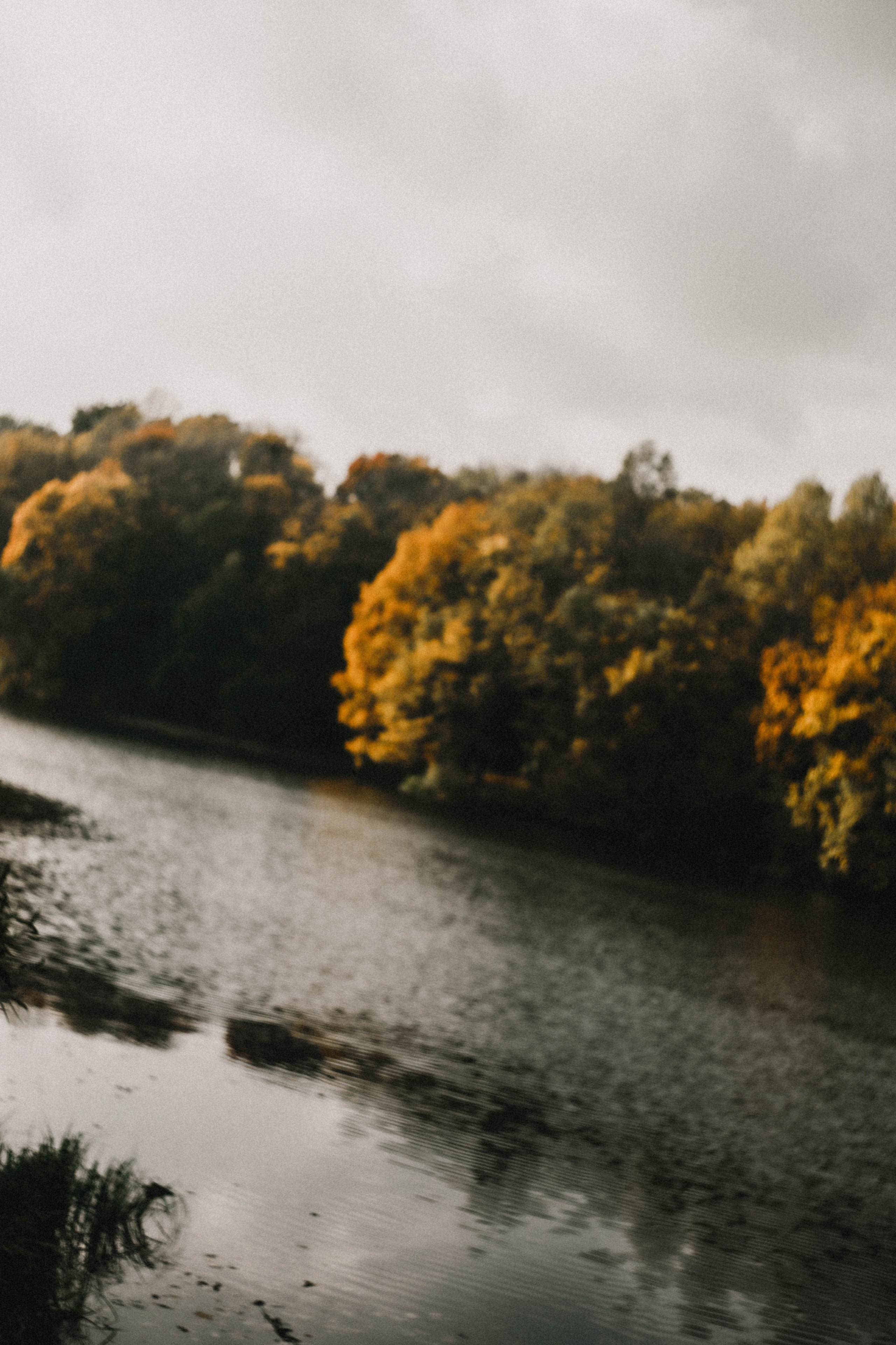 Анна на Щелчке. Осень. Фотограф в Нижнем Новгороде