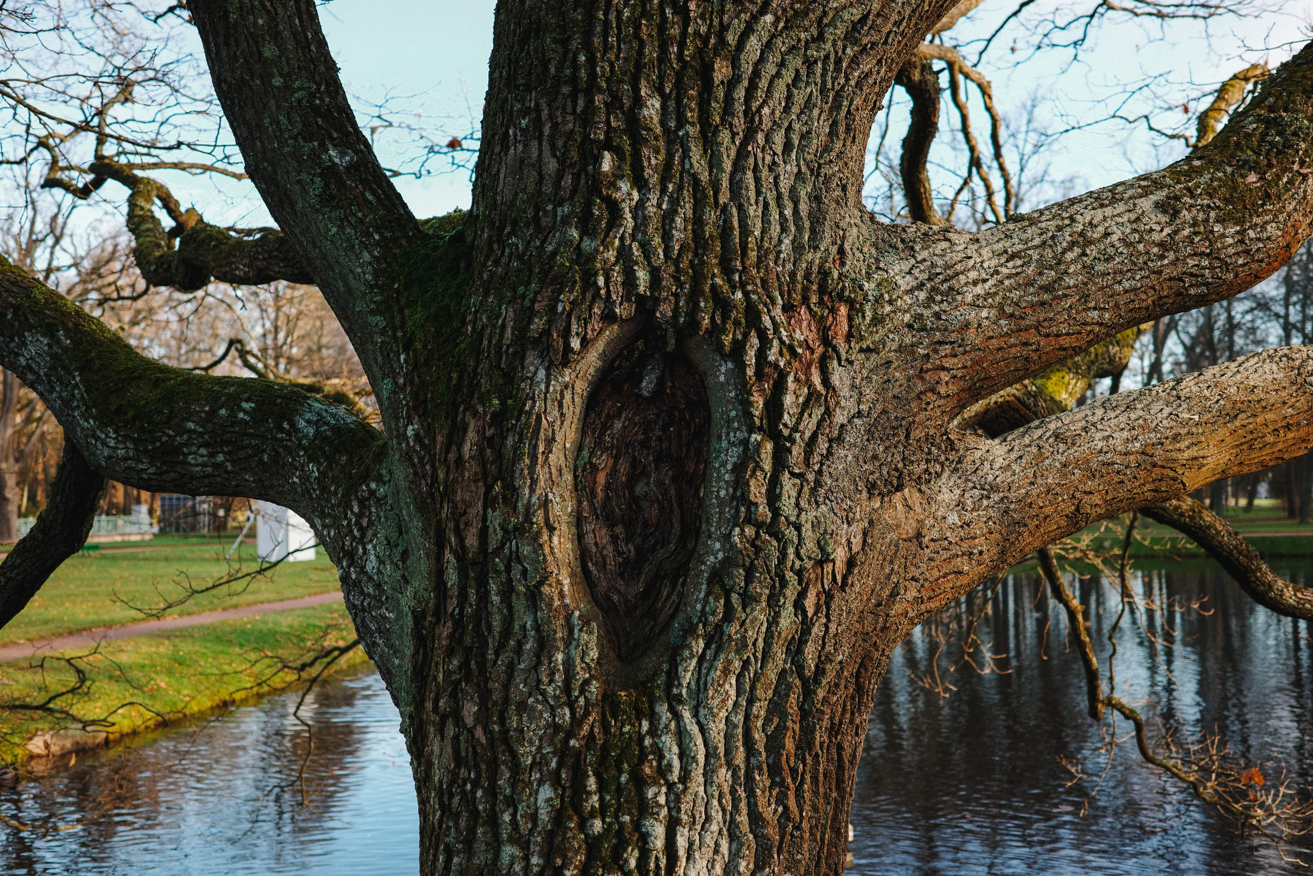2024.11. Фотограф Алексей Алексеев