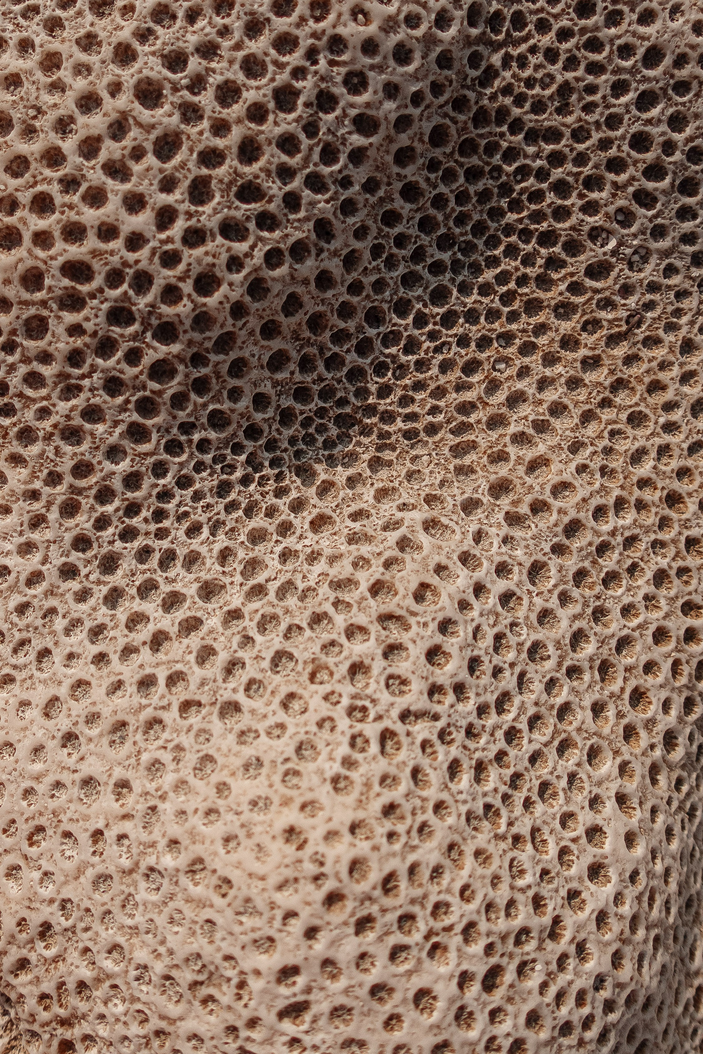 О.Тулусду. Мальдивы. Фотограф Светлана Голицына