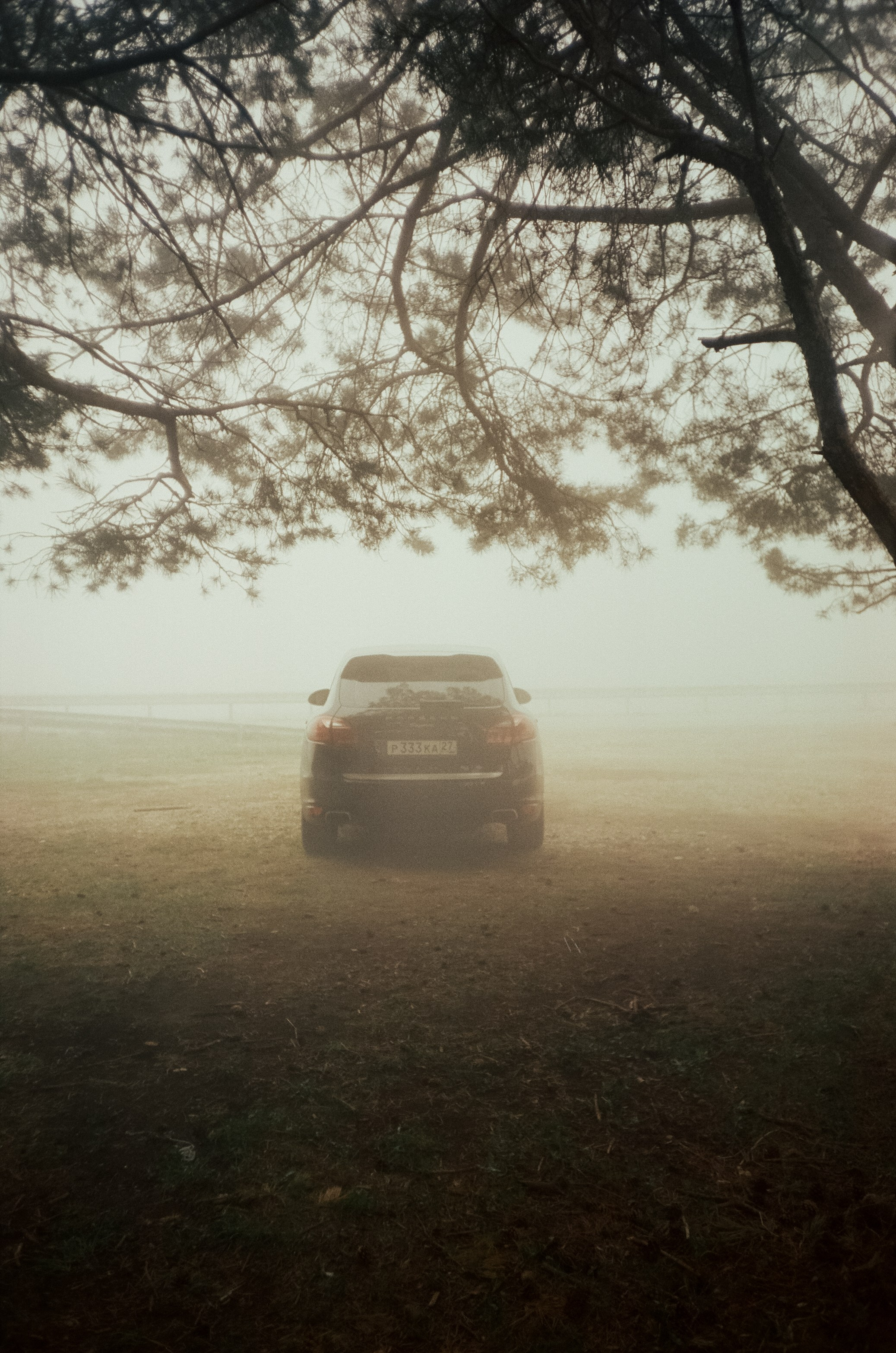 Дорога к Джилы-Су и лошадки в тумане. Фотограф-документалист Мария Осокина