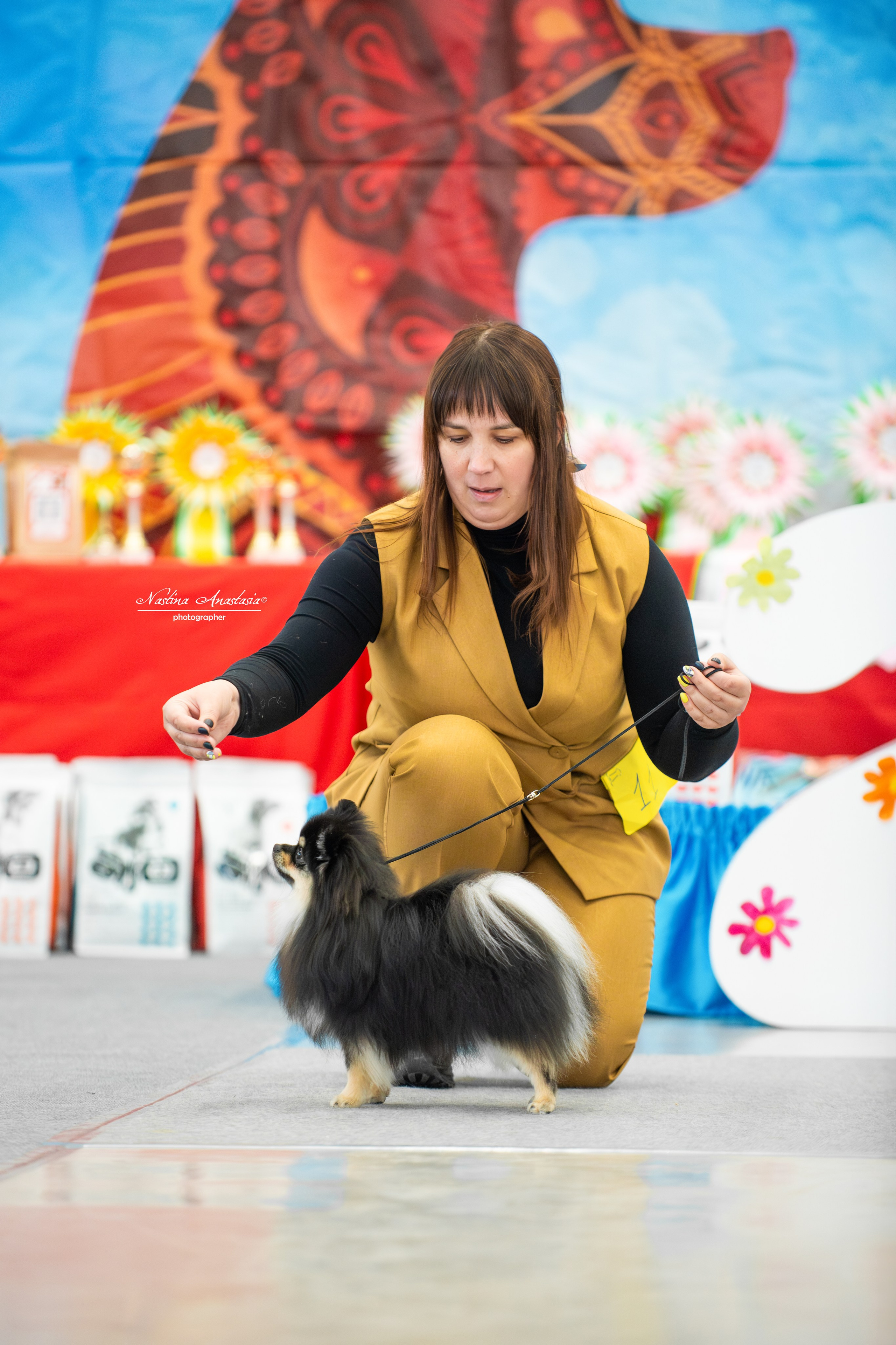 Выставки. Фотограф — Анималист