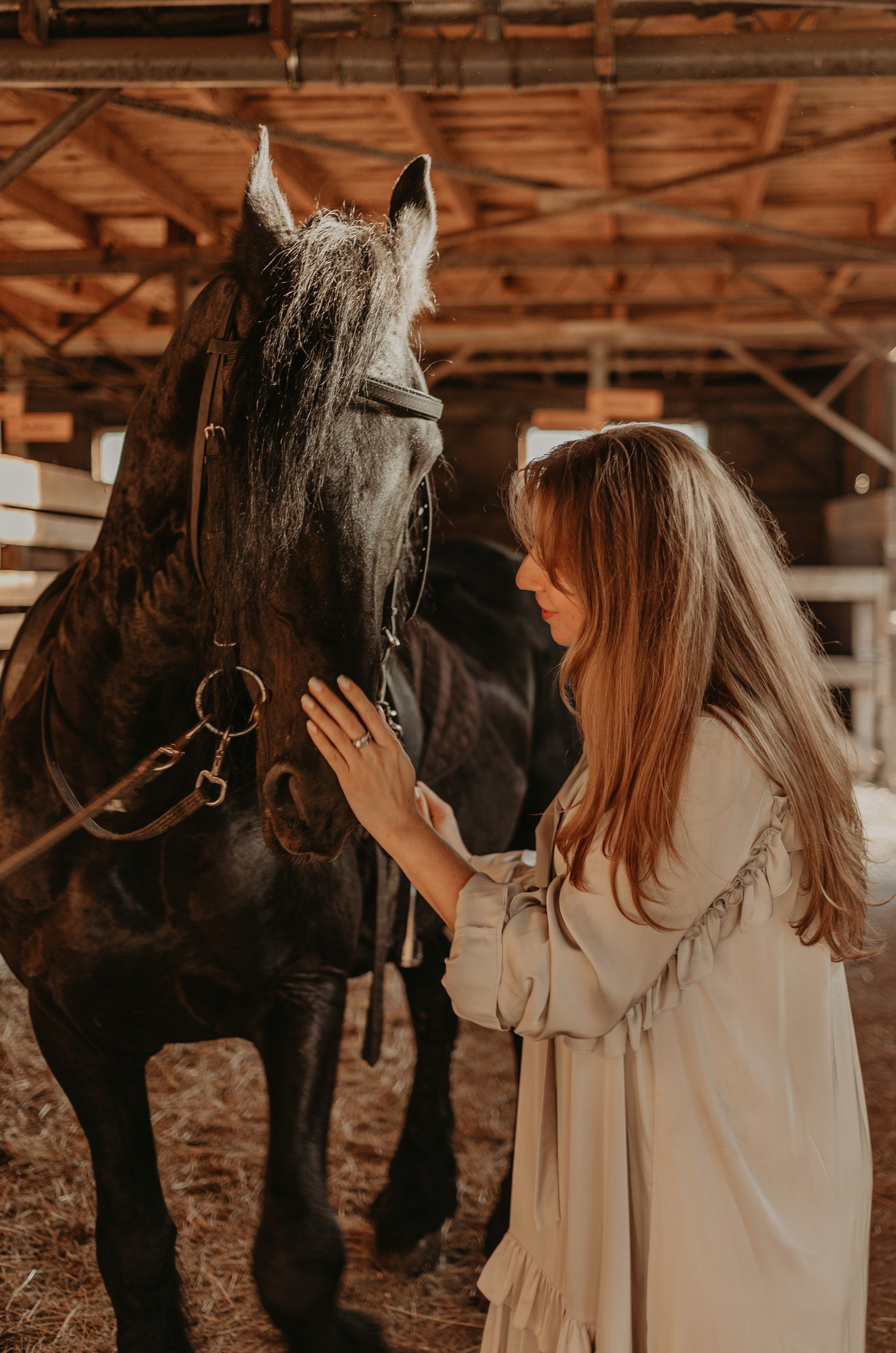 На коне. Фотограф в Краснодаре Евгения Михаевич