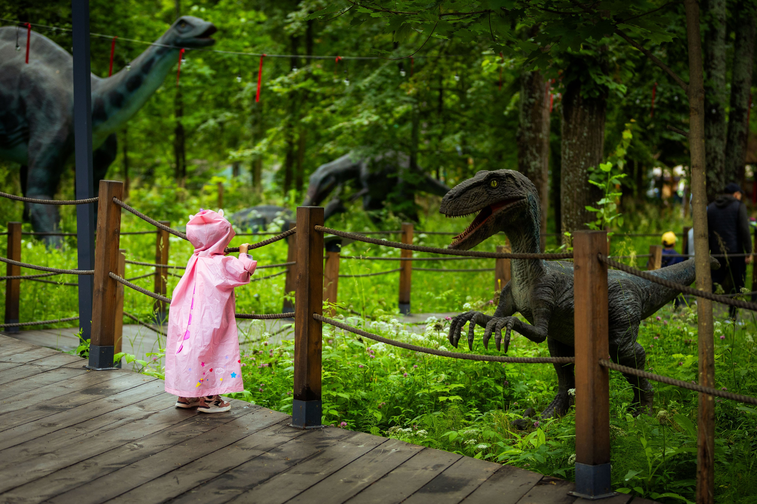 Будни фотографа. Фотограф Виноградов Константин