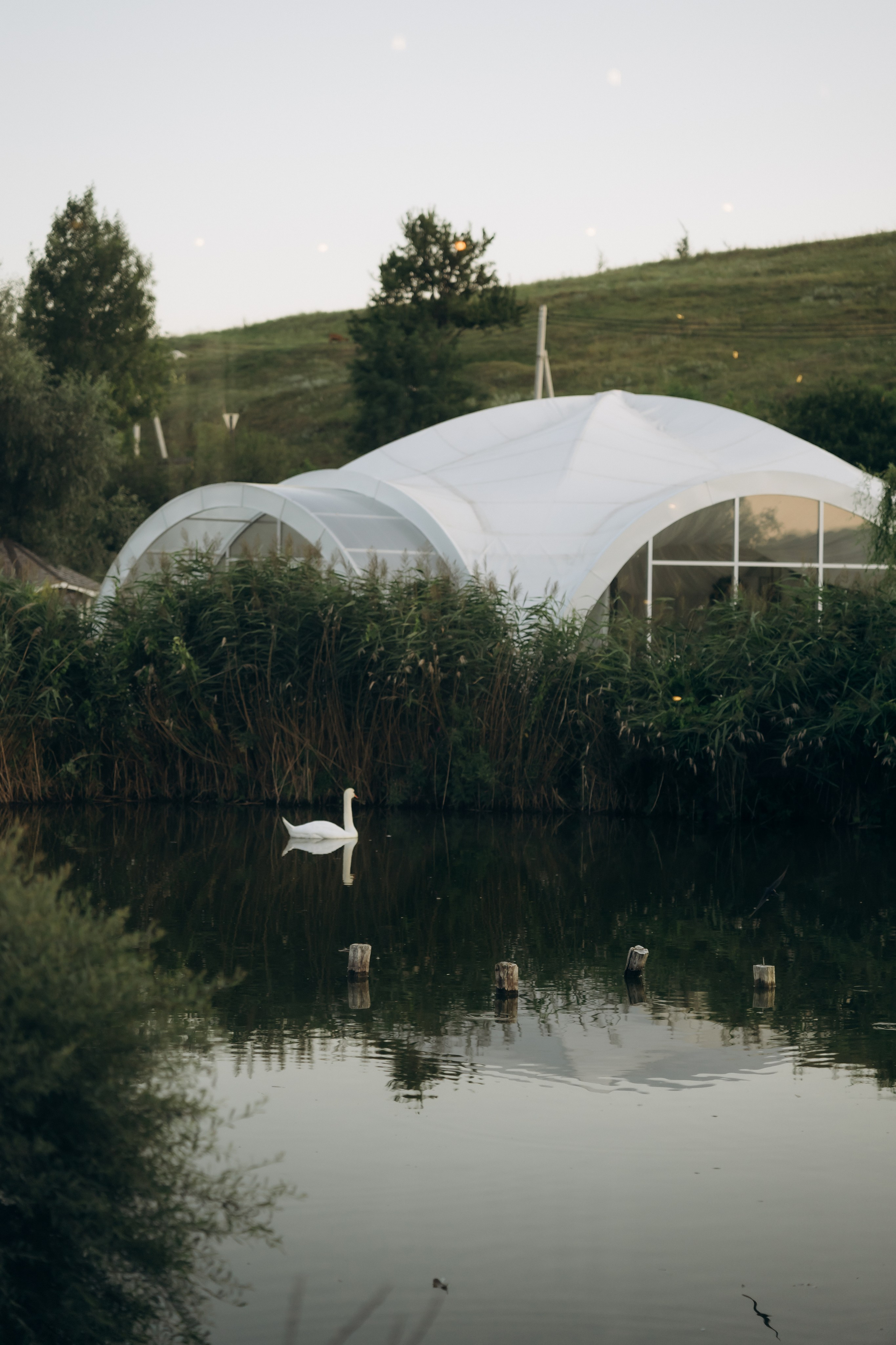 Руслан и Марина. Полный день. Ирина Гонтарева|Фотограф|Белгород