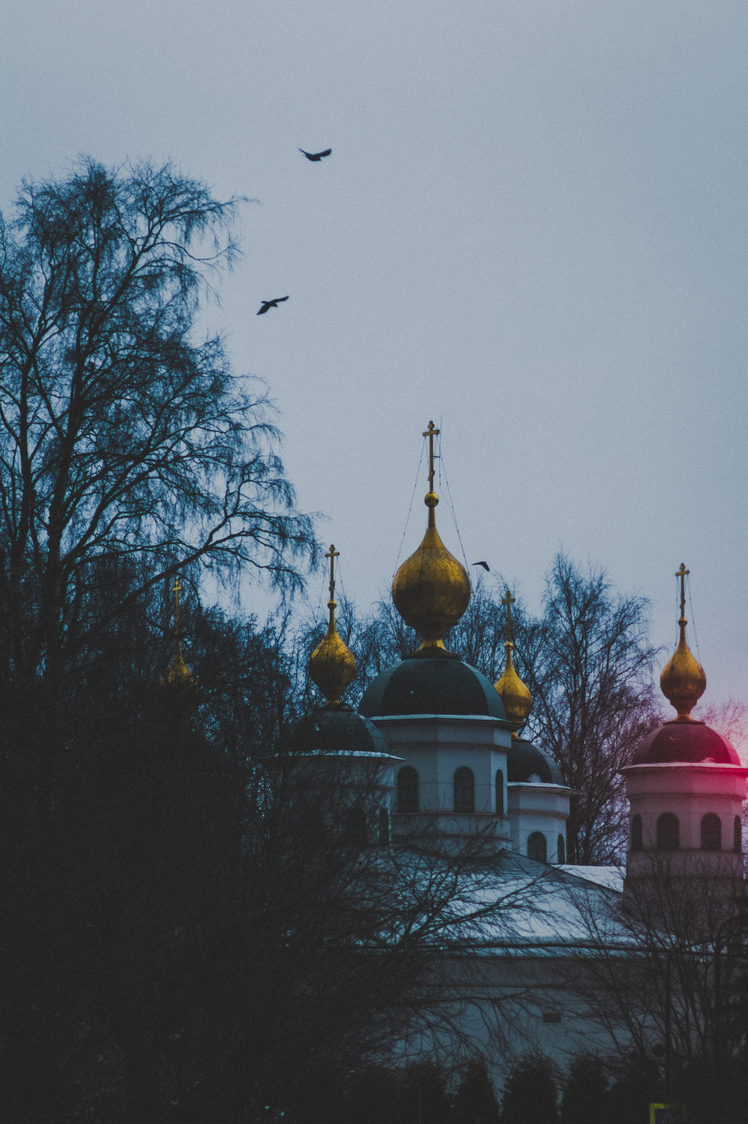 Череповец. Den Mirov — Photographer, Musician