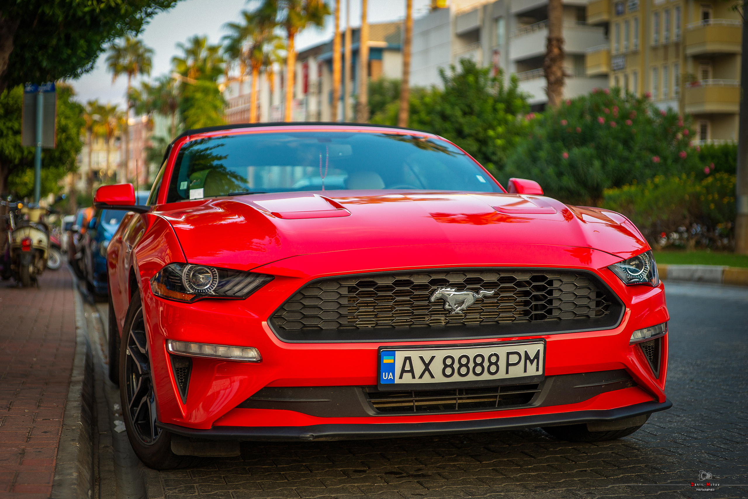 Даниил Мурай. Семейное фото. Мужской портрет. Женский портрет. Даниил Мурай — Фотограф Зеленоград- Аланья