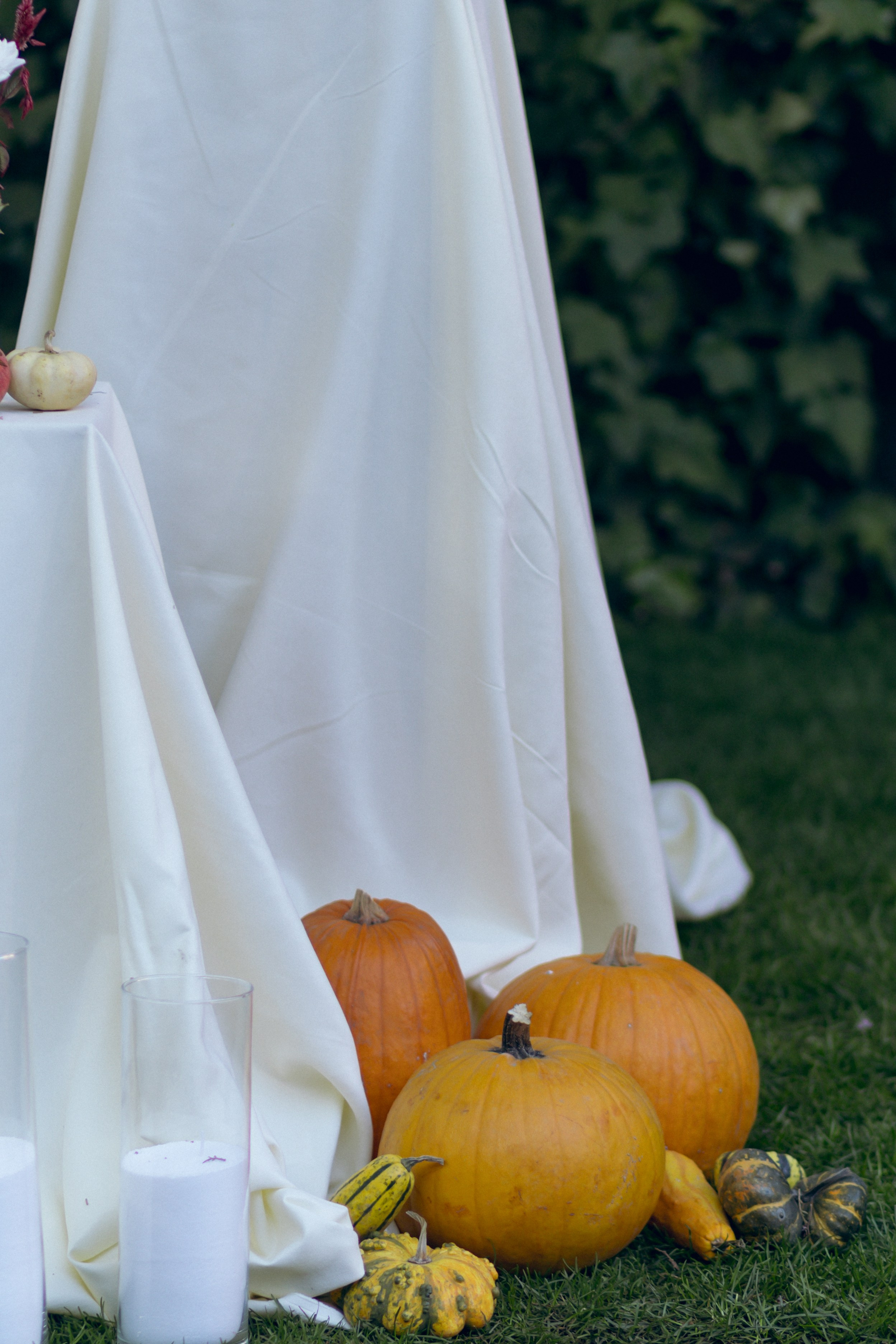 Николай и Юлия, 26 октября 2024. Свадебный  и семейный фотограф в Краснодаре