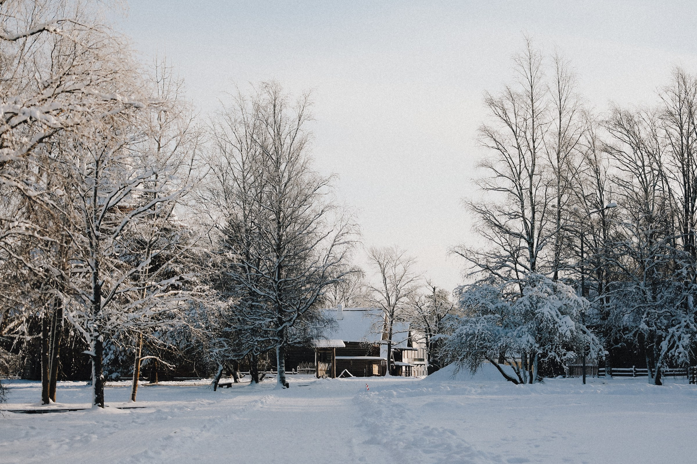 /РЕПОРТАЖ/ NOVGOROD ICE 2025. Свадебный фотограф Великий Новгород Станислав Кособудский
