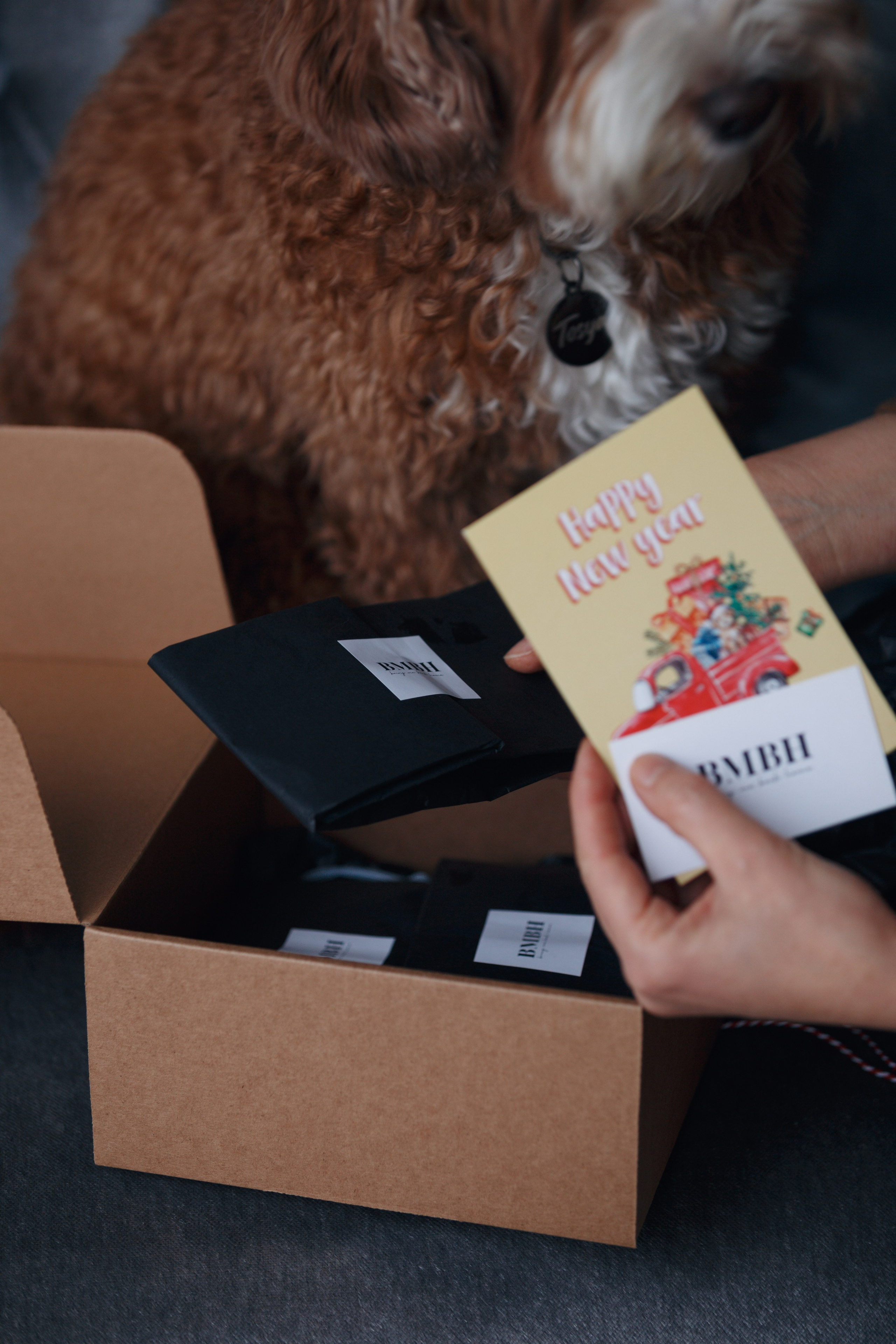 Bmbh лежанки и адресники. Фотограф анималист Кристина Карпова, Москва