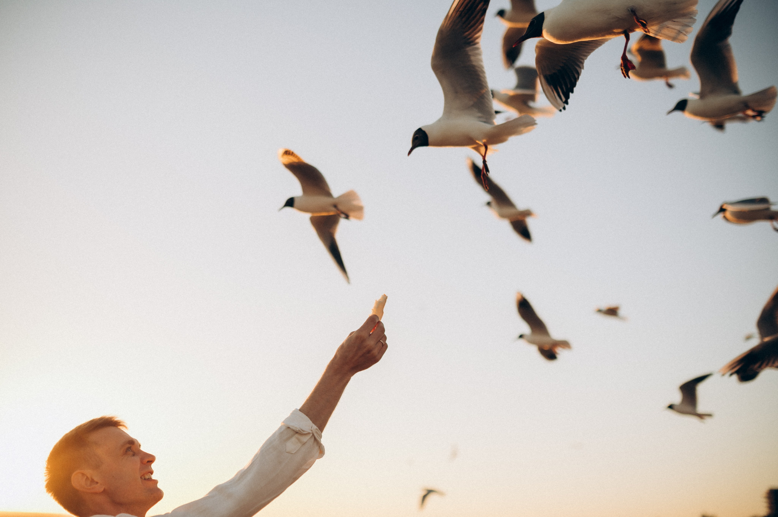 Семейная на заливе. Фотограф ПИТЕР СПБ Надежда Баранова