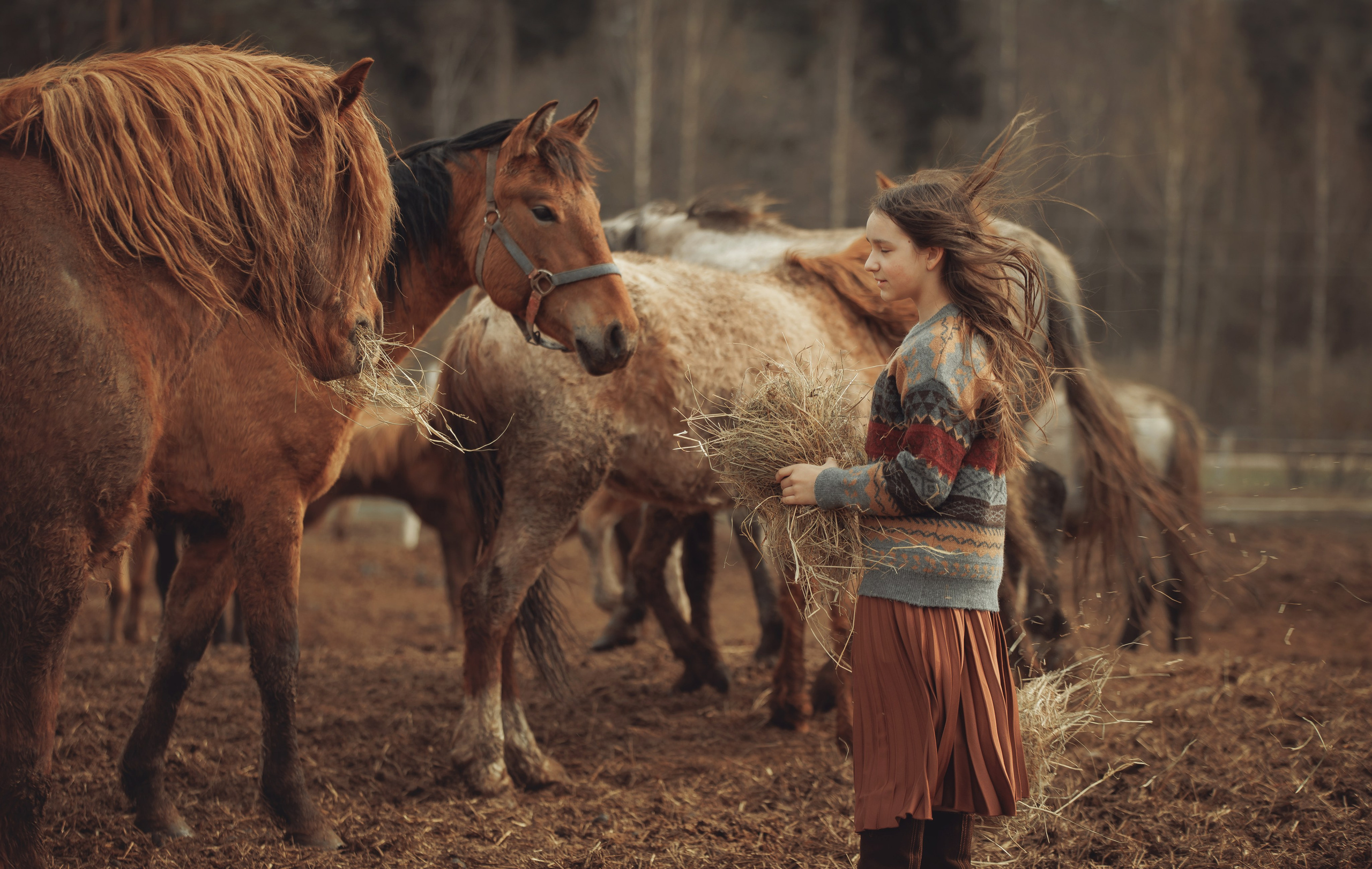 Детская конная съёмка. Детская Конная фотография в Москве Юлия Шепелева
