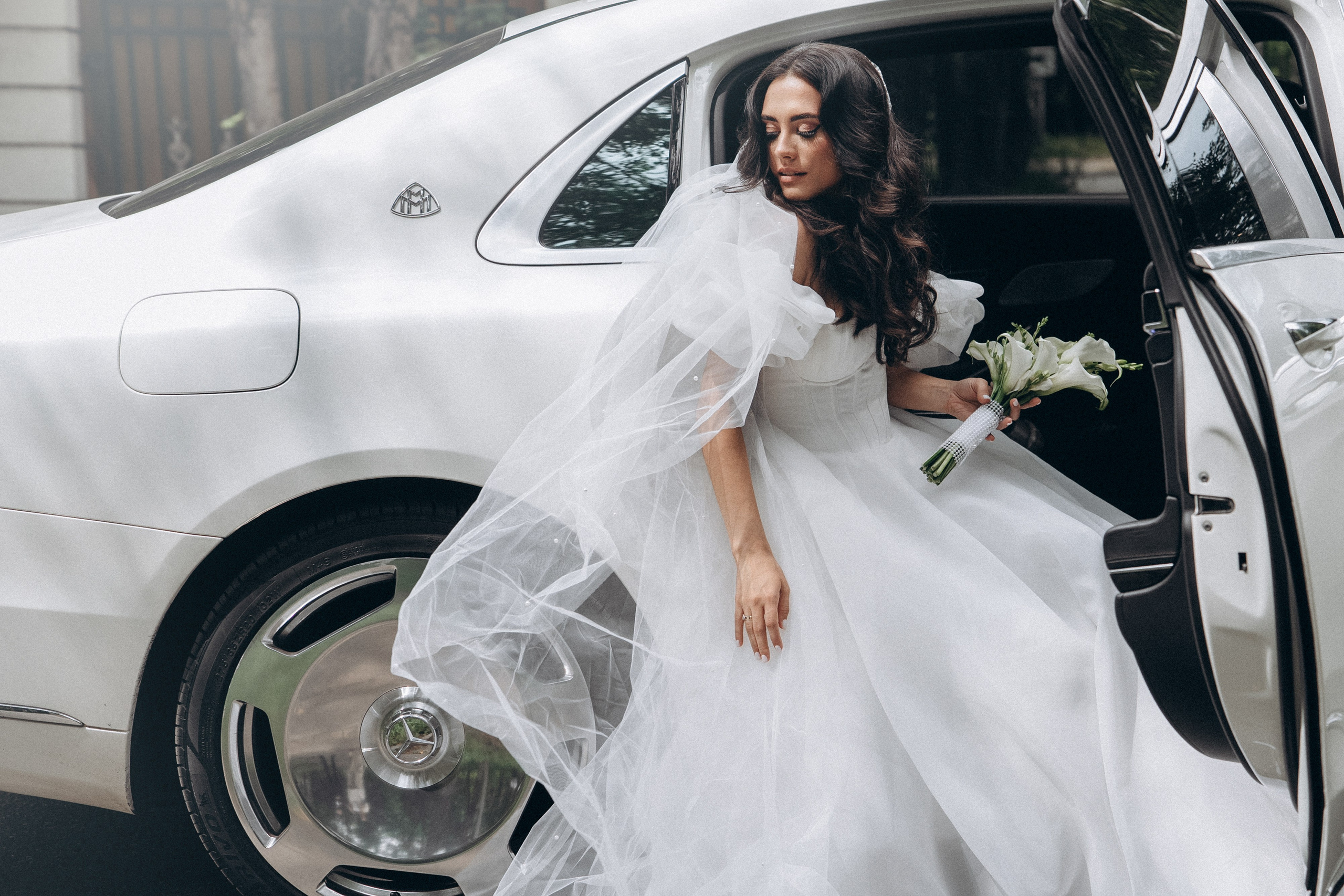 Маргарита и Артур. Фотограф анималист в Москве и Санкт-Петербурге Свиридова Анна