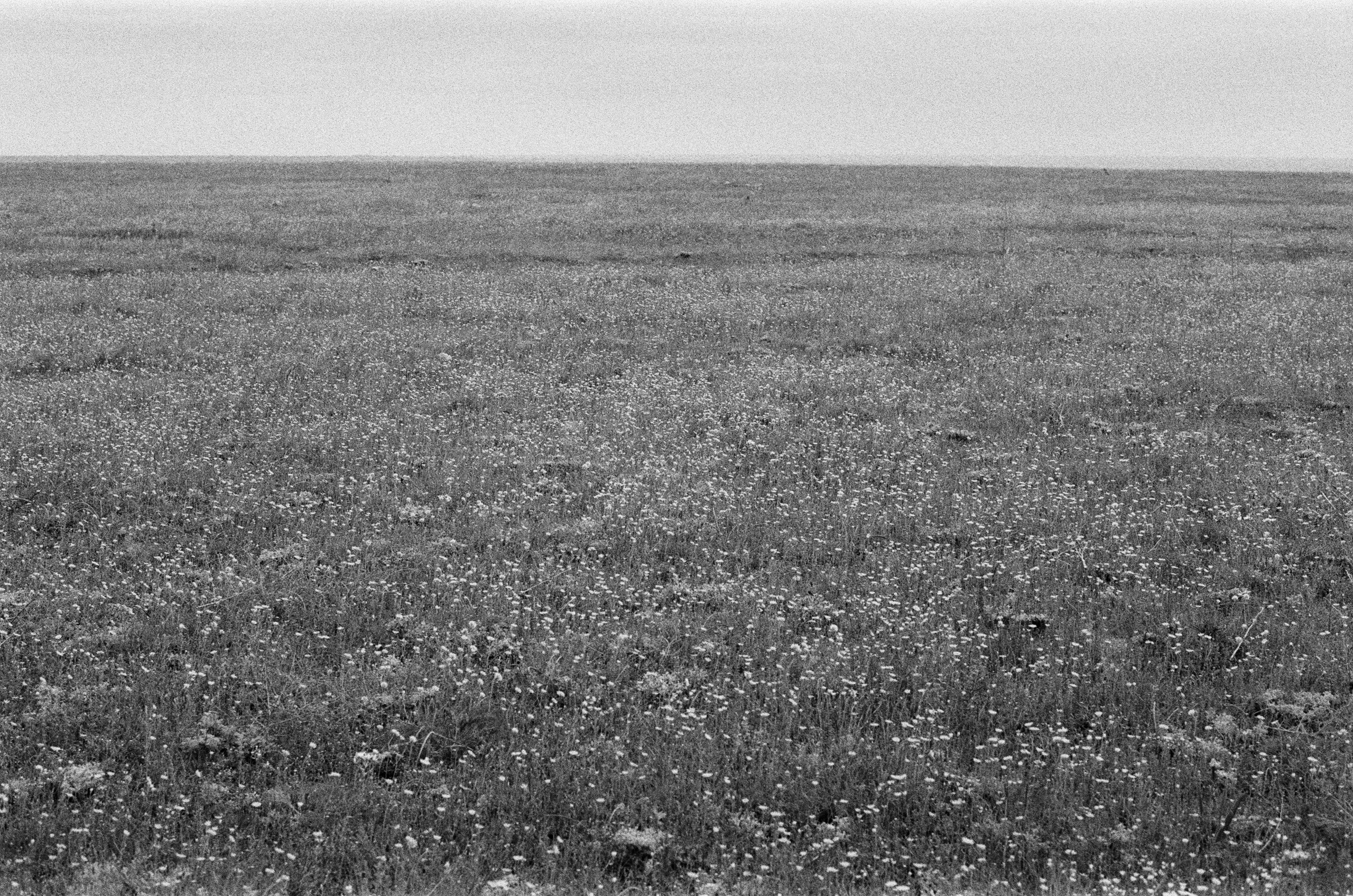 Move me // ukraine, crimea. EVER EXPOSED