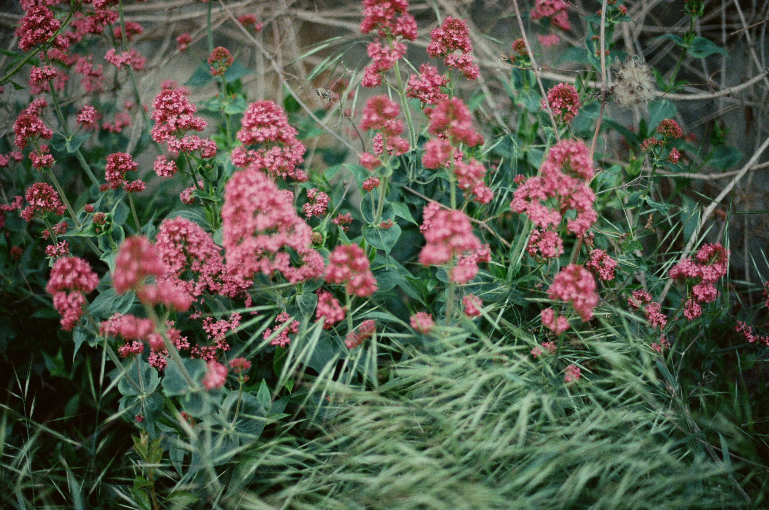 Silent running // ukraine, crimea II. EVER EXPOSED