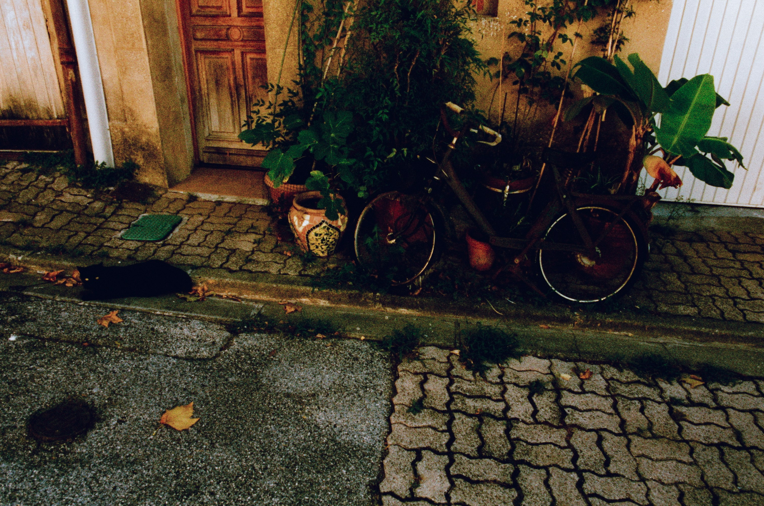 The contract // france, mazaugues. EVER EXPOSED