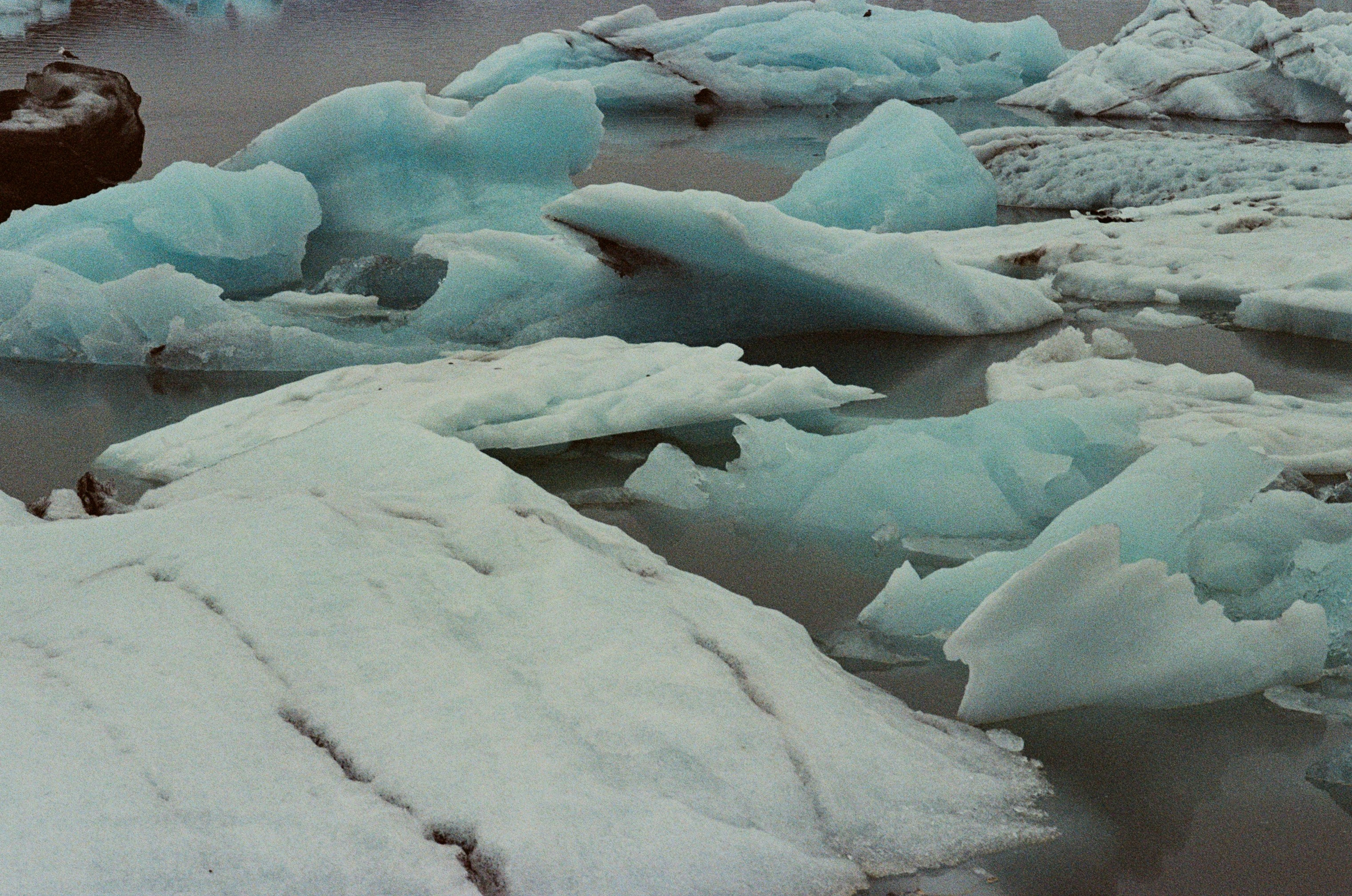 Bloodline // iceland, jökulsárlón. EVER EXPOSED