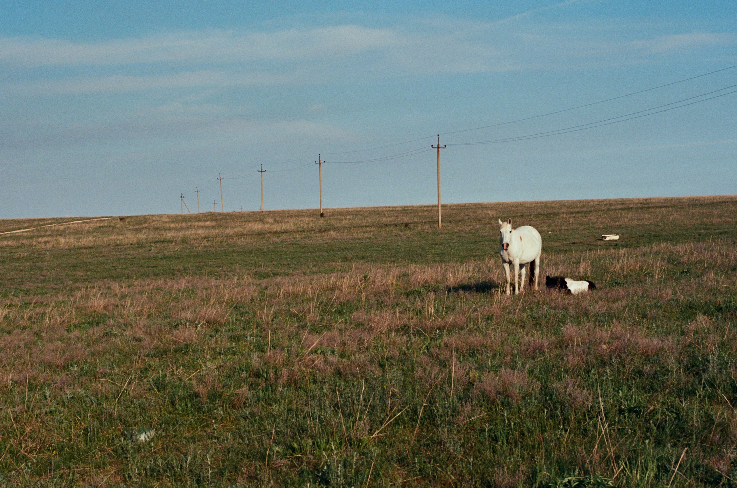 The drugs don't work // ukraine, crimea II. EVER EXPOSED