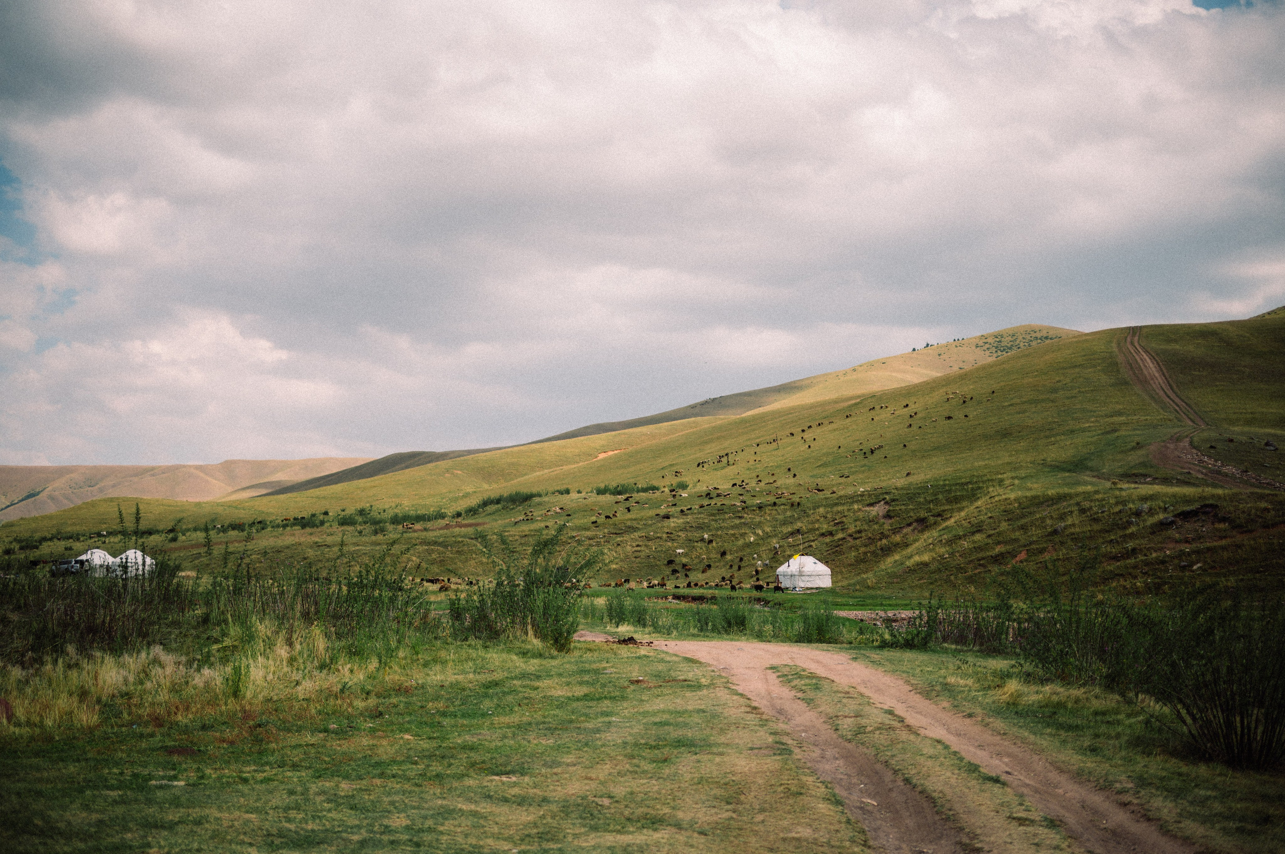 Плато Ассы: июль 2025. Фотограф в Алматы — Дарья Фёдорова