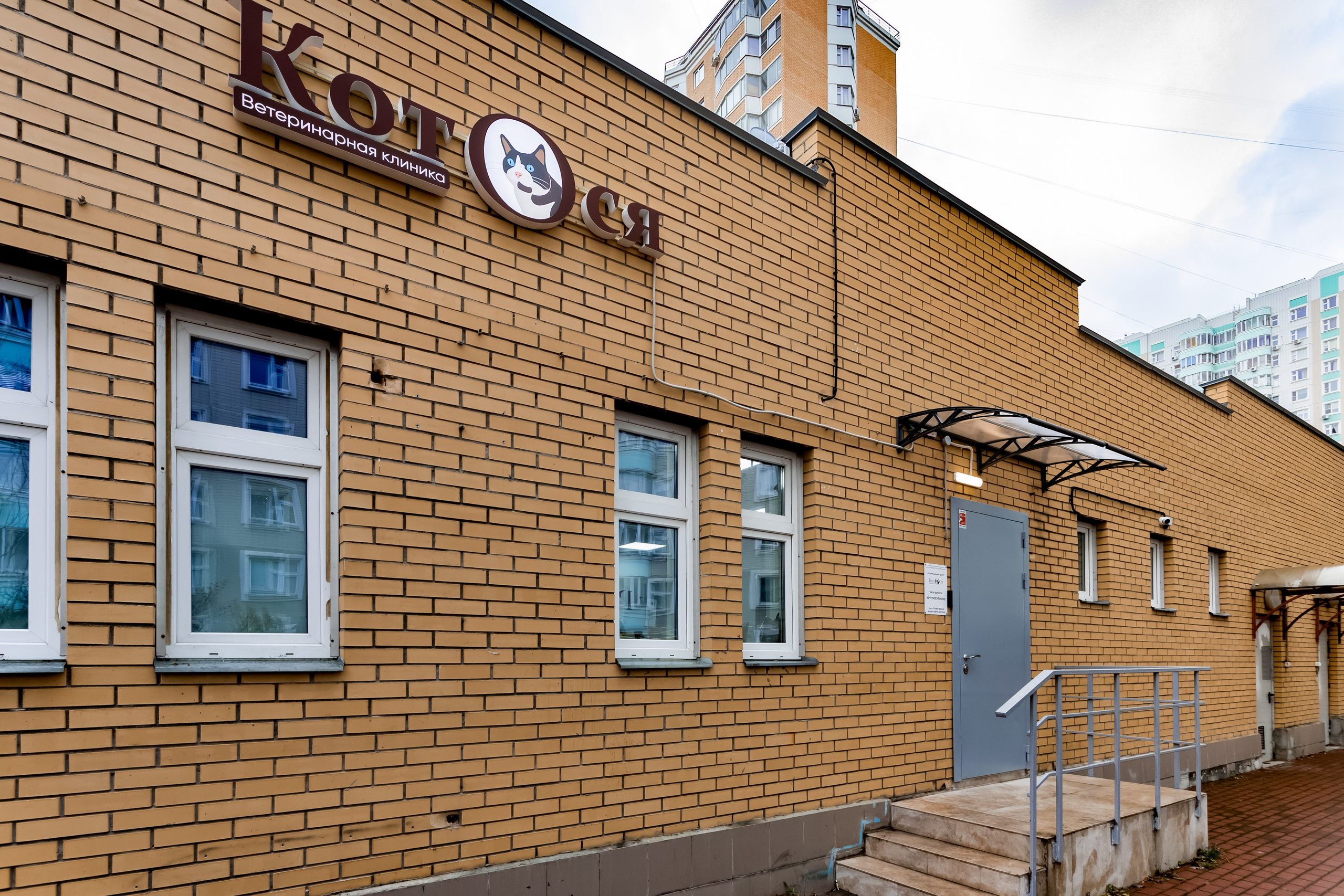 Интерьерная съемка для ветеринарной клиники КотОся. Интерьеры, Контент, Портреты | Фотограф в Москве Дани Терно