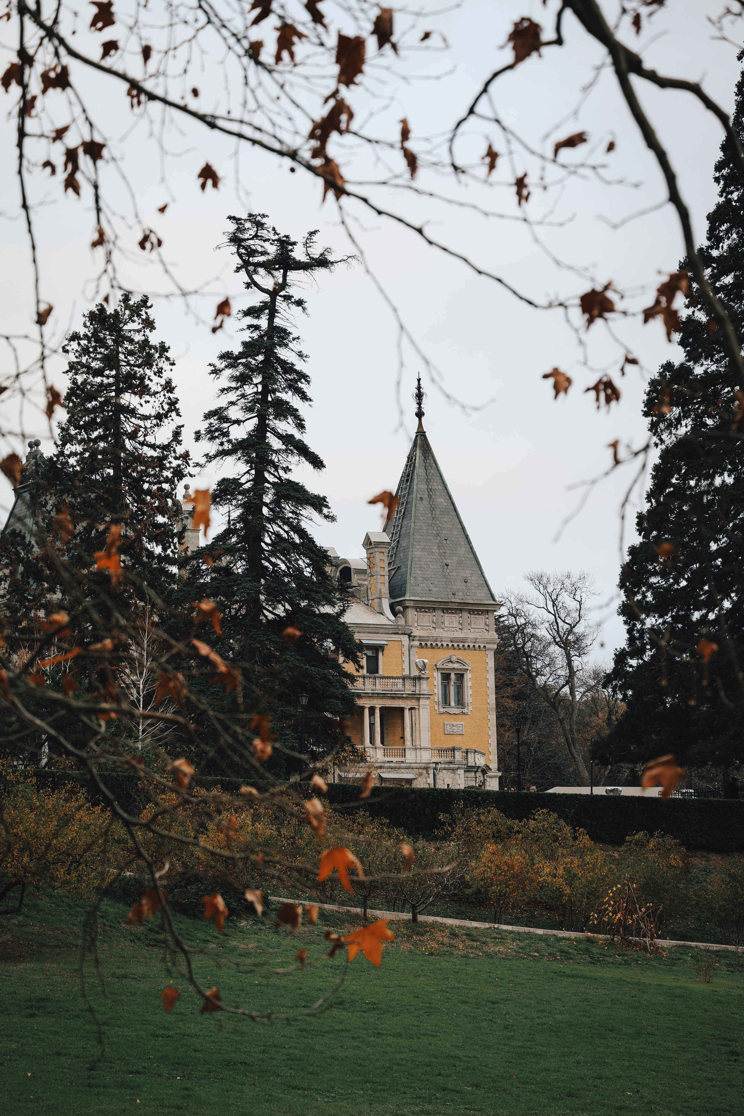 Дарина. Фотограф в Крыму Кудрявцева Дарья