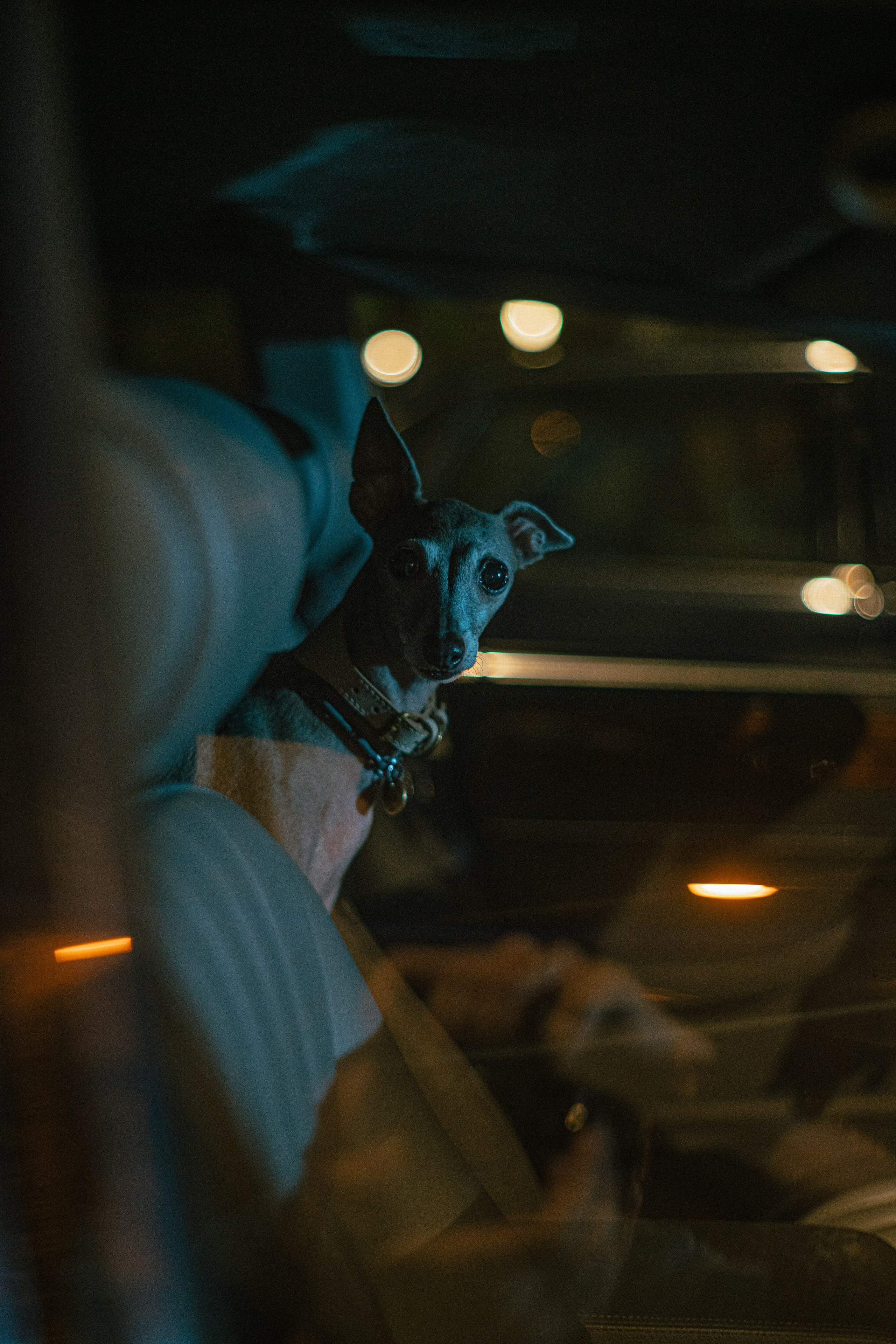 Автовыходные в Москве , Jaguar. Жуков Илья  свадебный фотограф в Москве