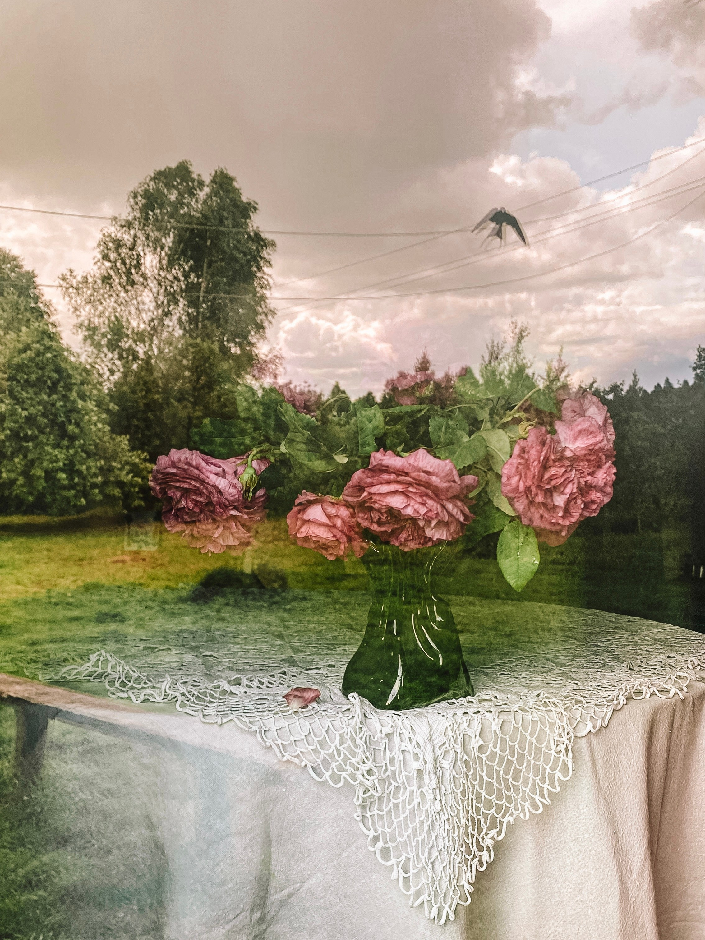 Натюрморт. Фотограф Ольга Мурзина