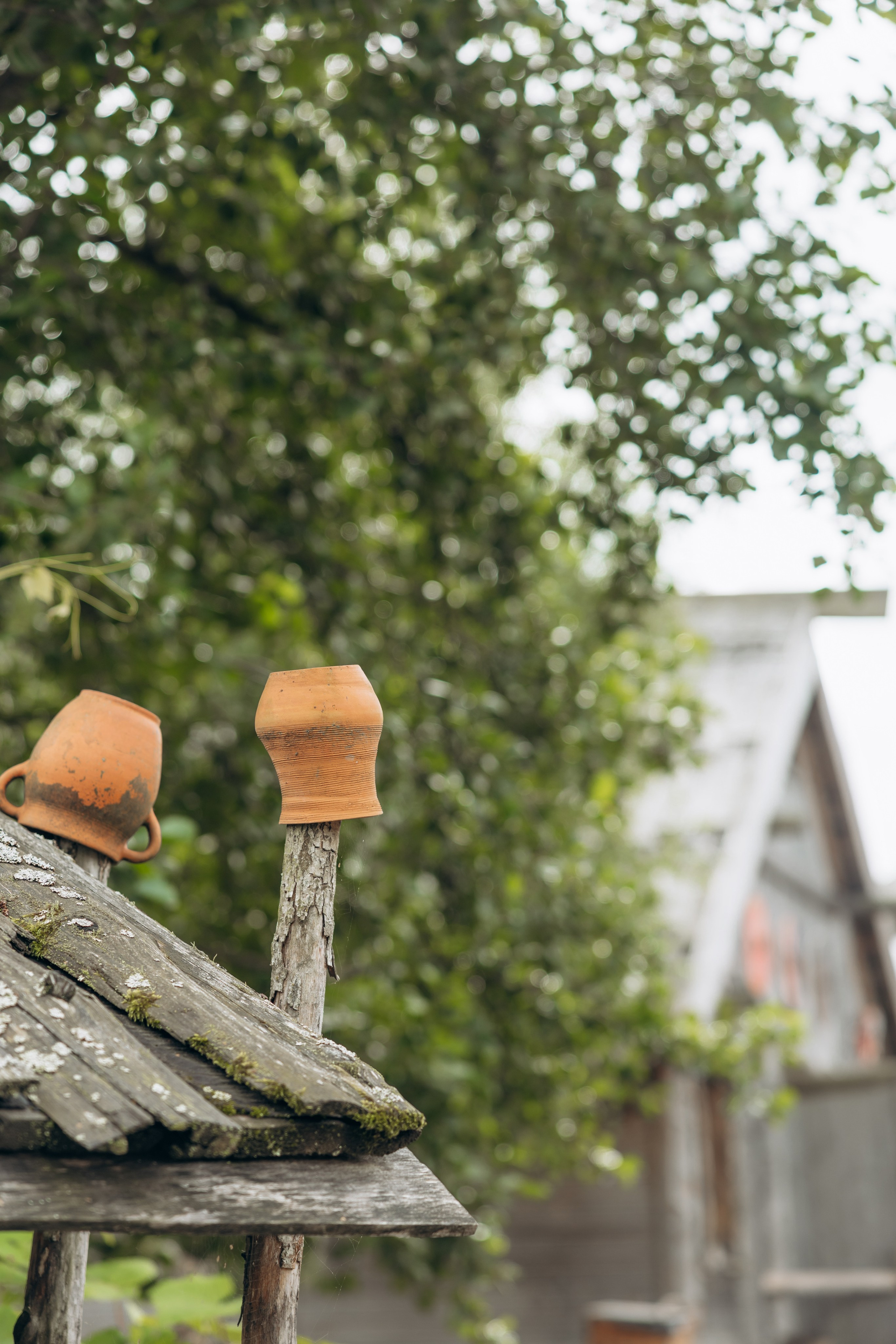 RMG Кауп (2день). Фотограф в Калининграде свадебная фотография, репортажная, фотосессии