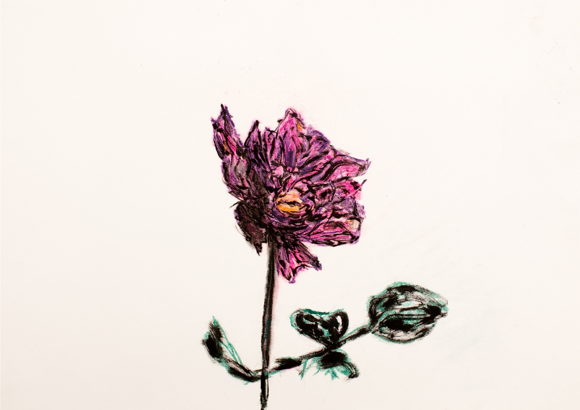 DRAWINGS. Valery Morozov