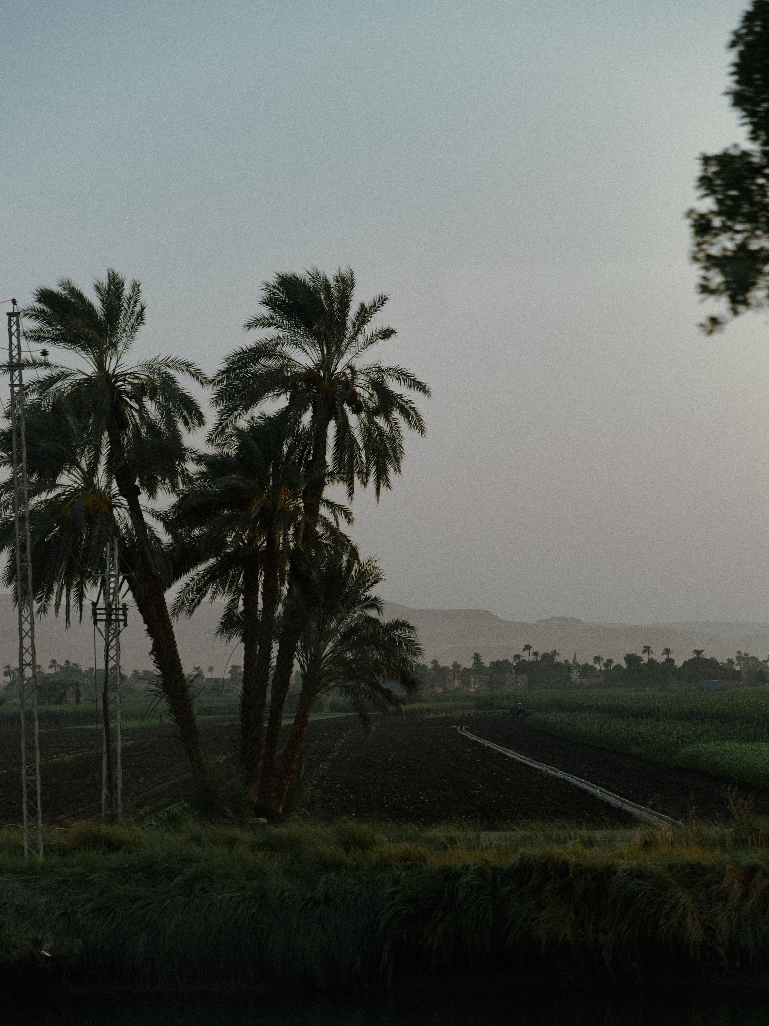 Другое 2. Jorgis Talè — photographer, kind person, teacher of arts and other mag