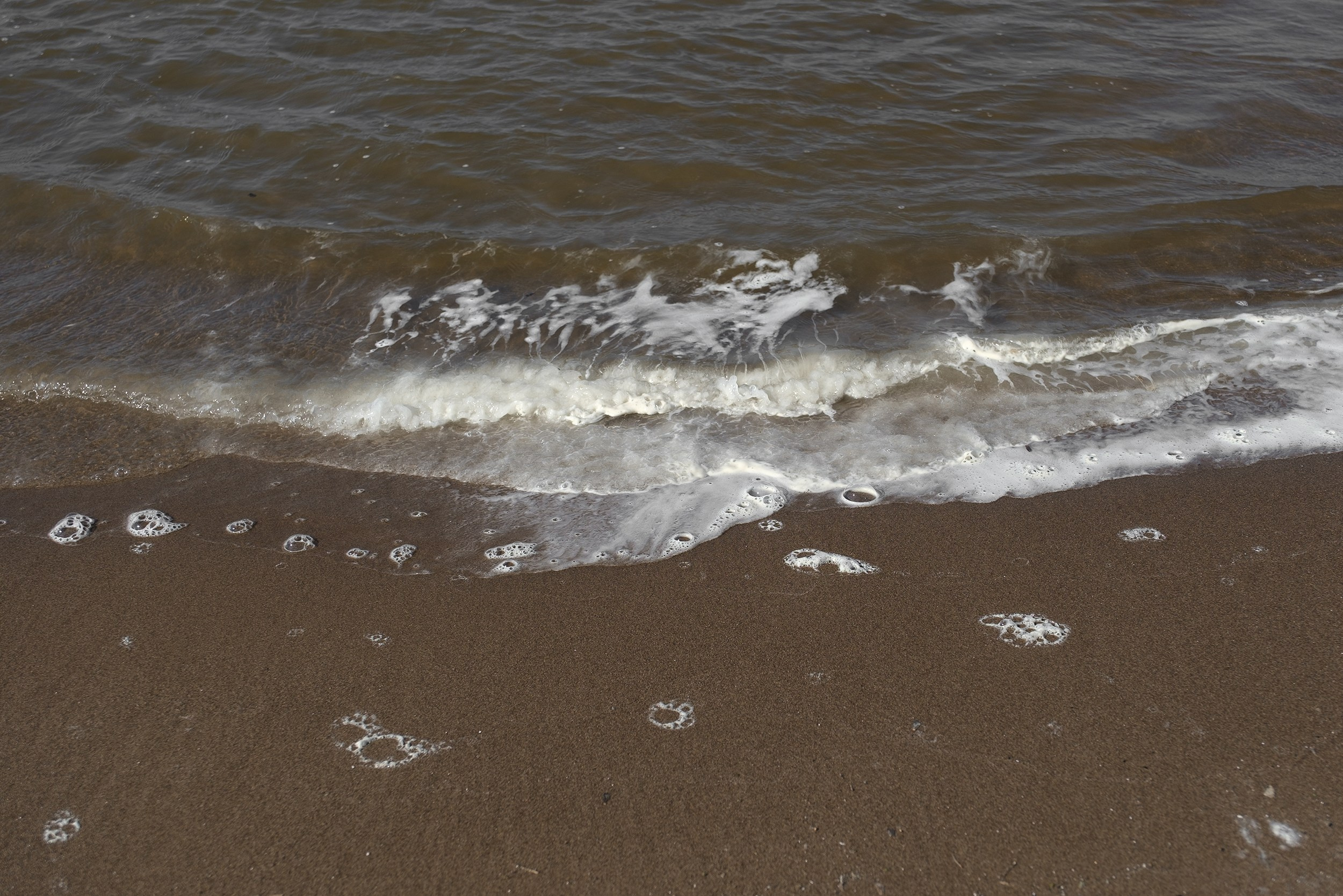 Маша (съемка на природе). Екатерина Мишина творческий фотограф в Самаре