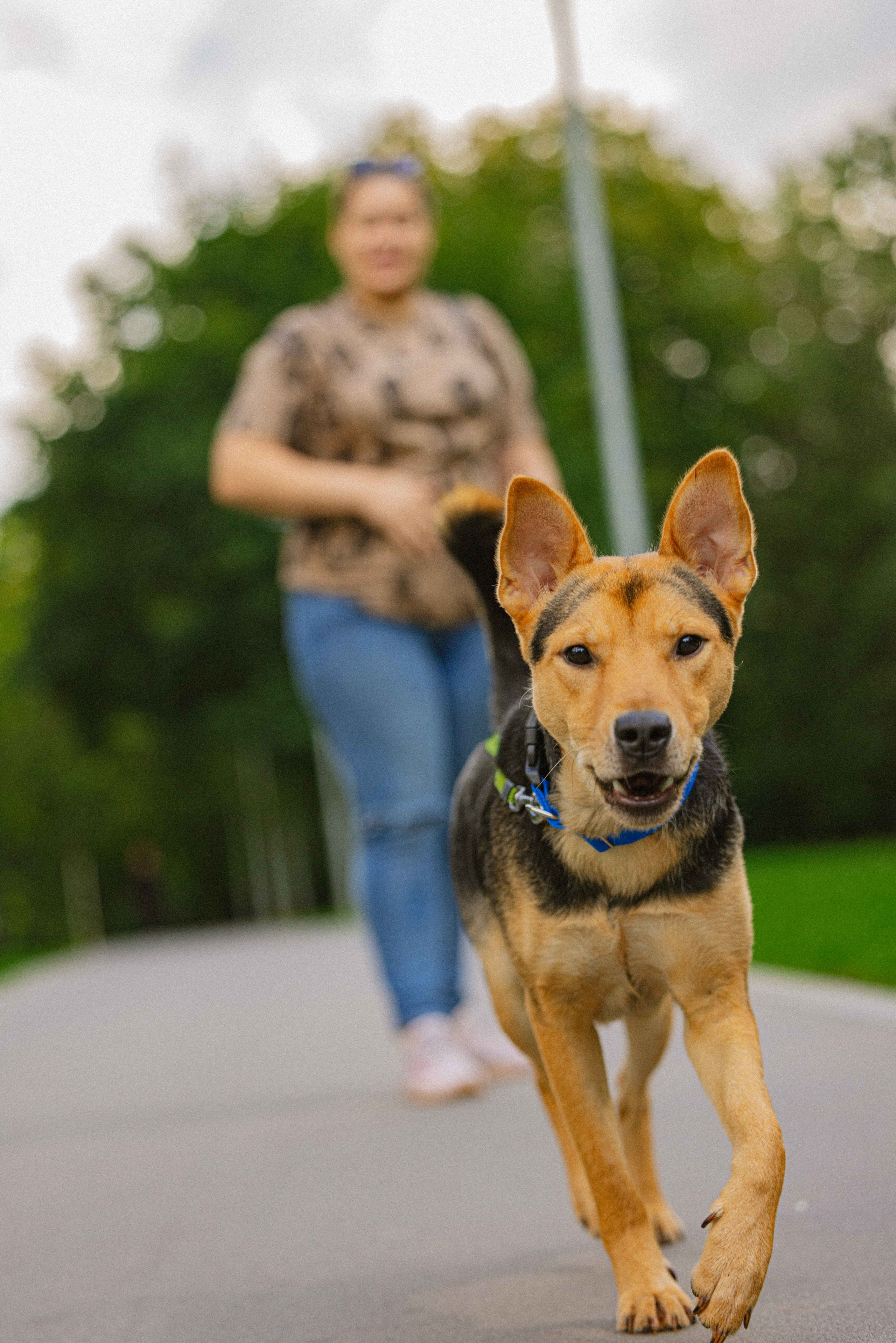 Джеки. Фотограф-анималист в Москве Лера Черноног