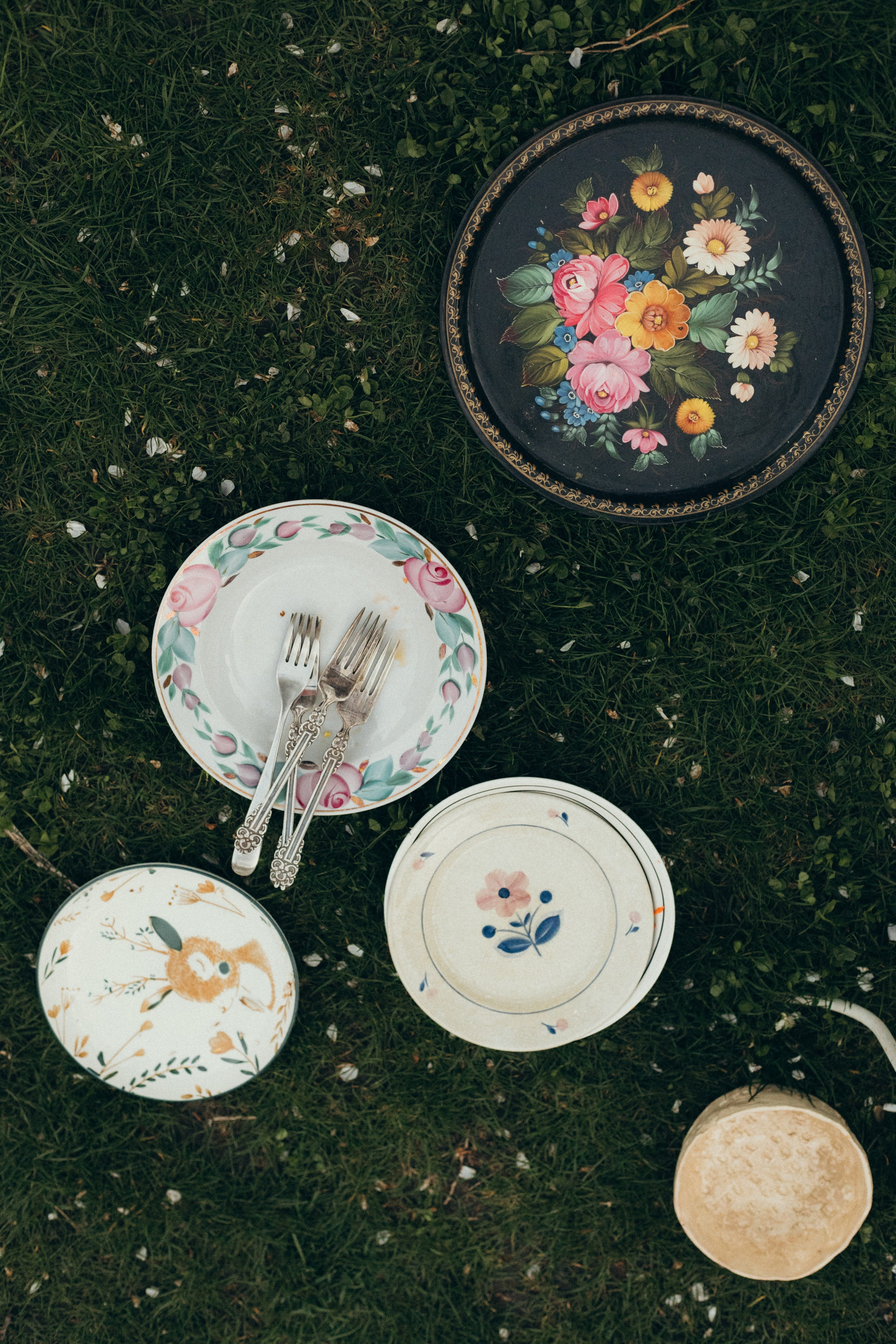 Домашняя история. Meryfotoidea