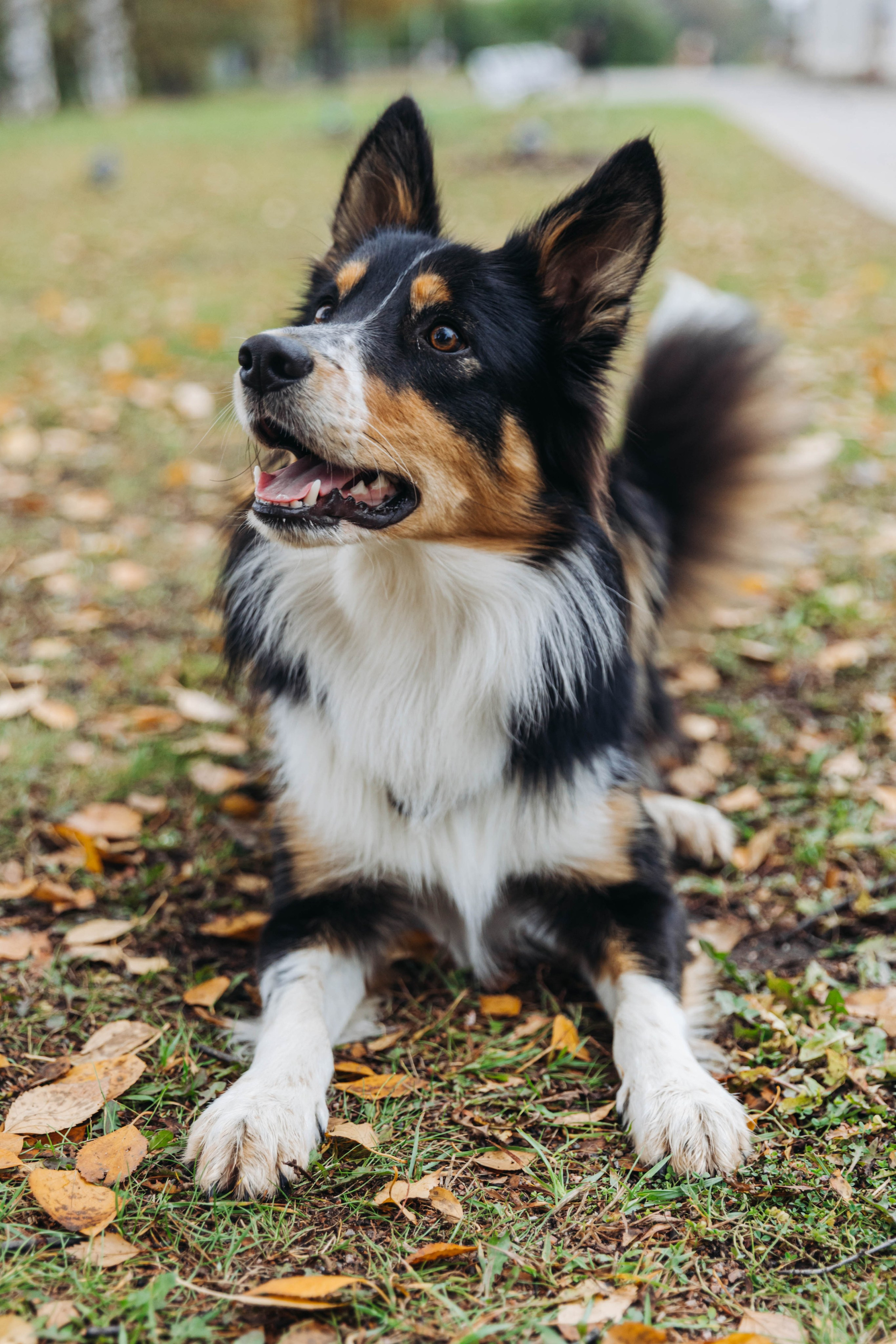 Вольт. Свадебный и семейный фотограф в Санкт-Петербурге Лолита Евстифеева