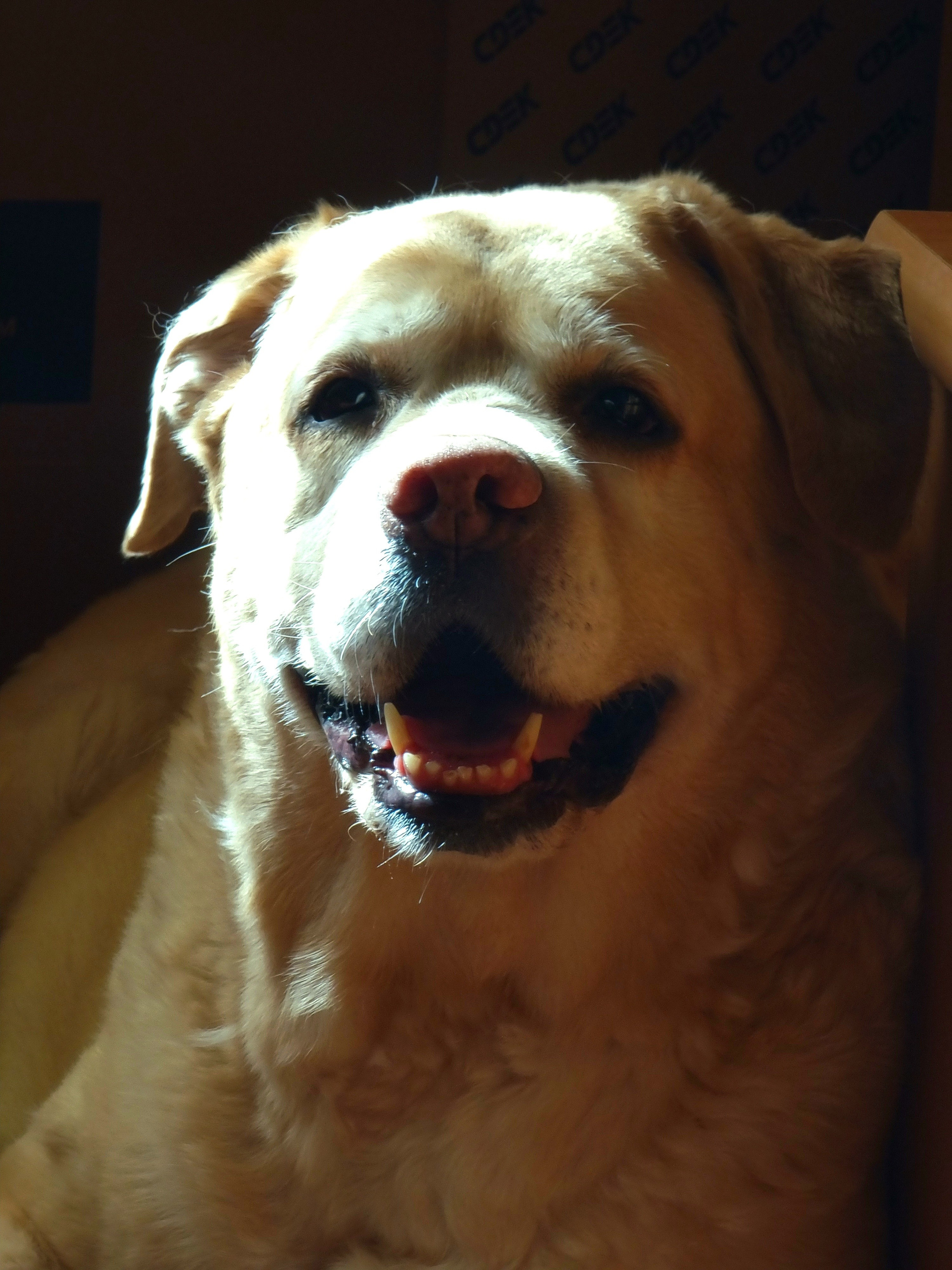 Июль 2025. Den Mirov — Фотограф, Музыкант