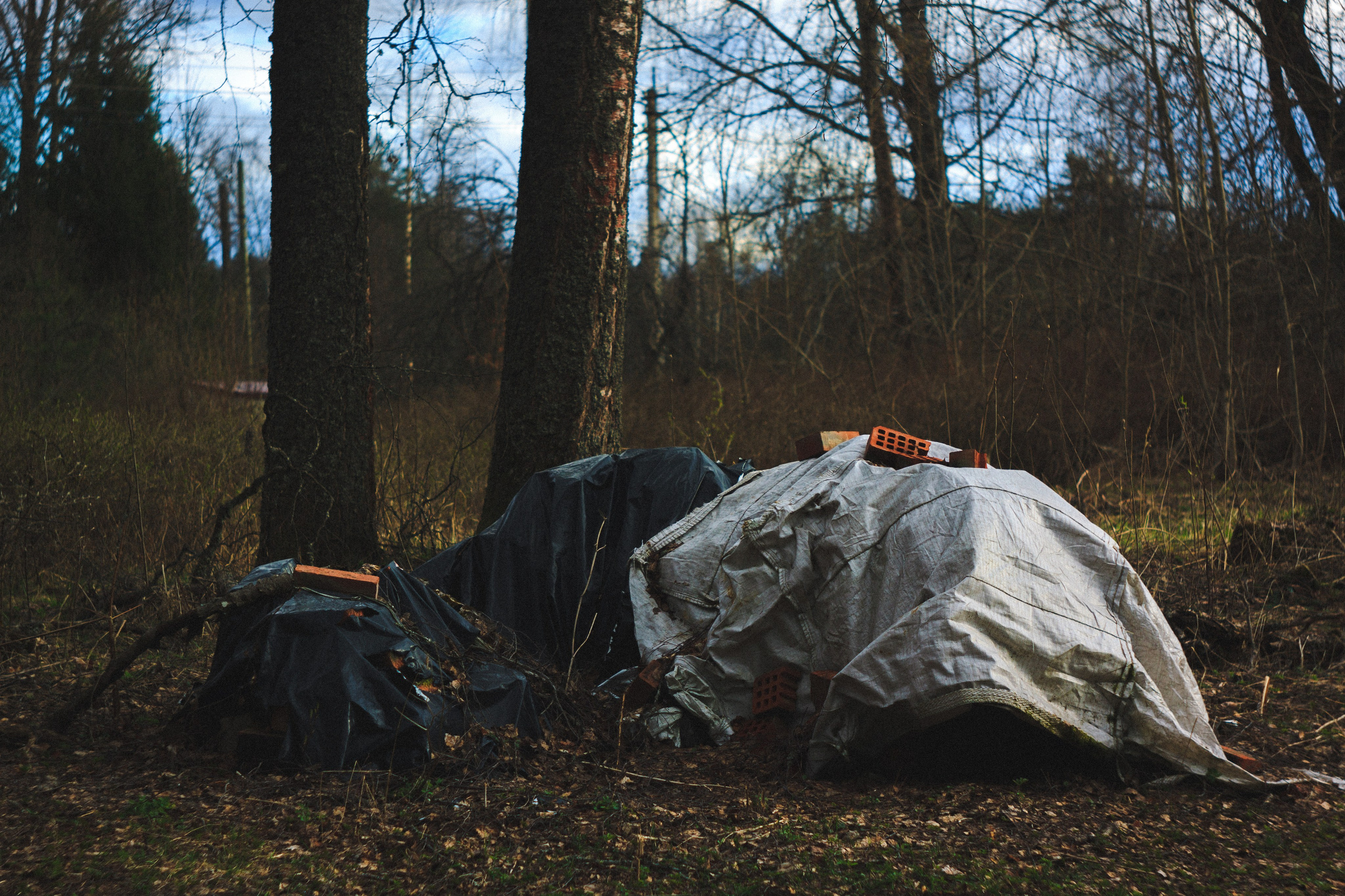 Деревня. Den Mirov — Photographer, Musician