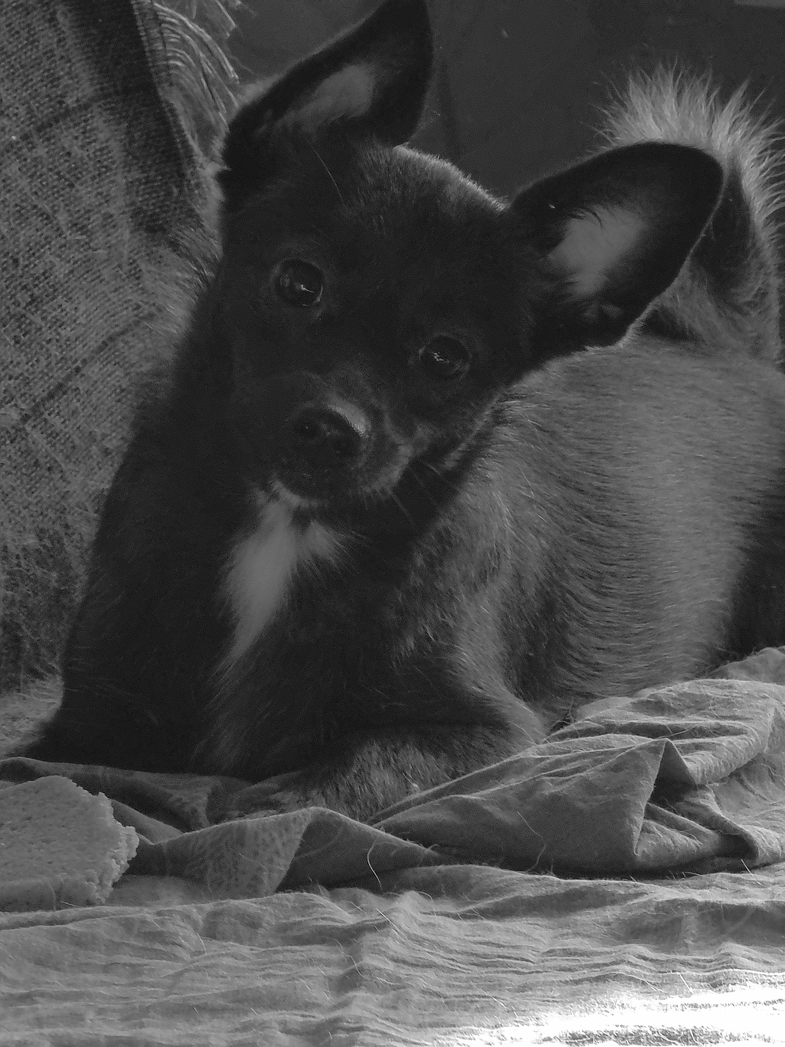 Июль 2025. Den Mirov — Фотограф, Музыкант