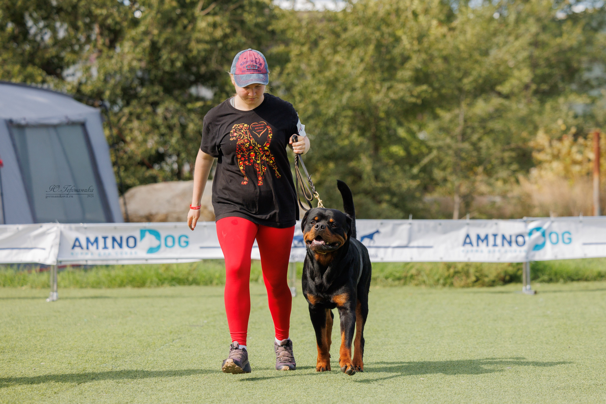 Анапа ротвейлеры 14-15.09.2024. Фотограф-анималист Юлия Германика