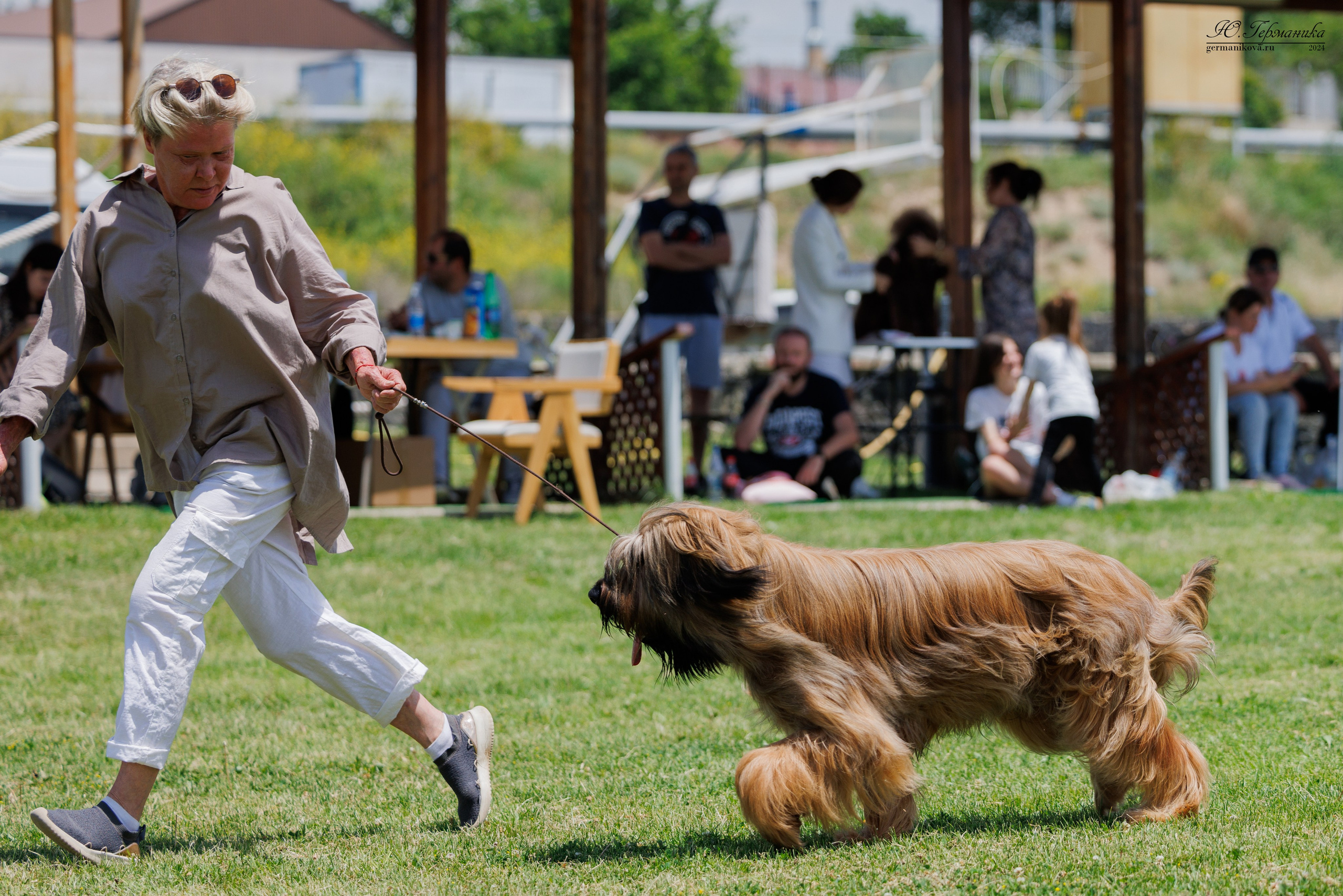 Ереван 3-5.06.2024. Фотограф-анималист Юлия Германика