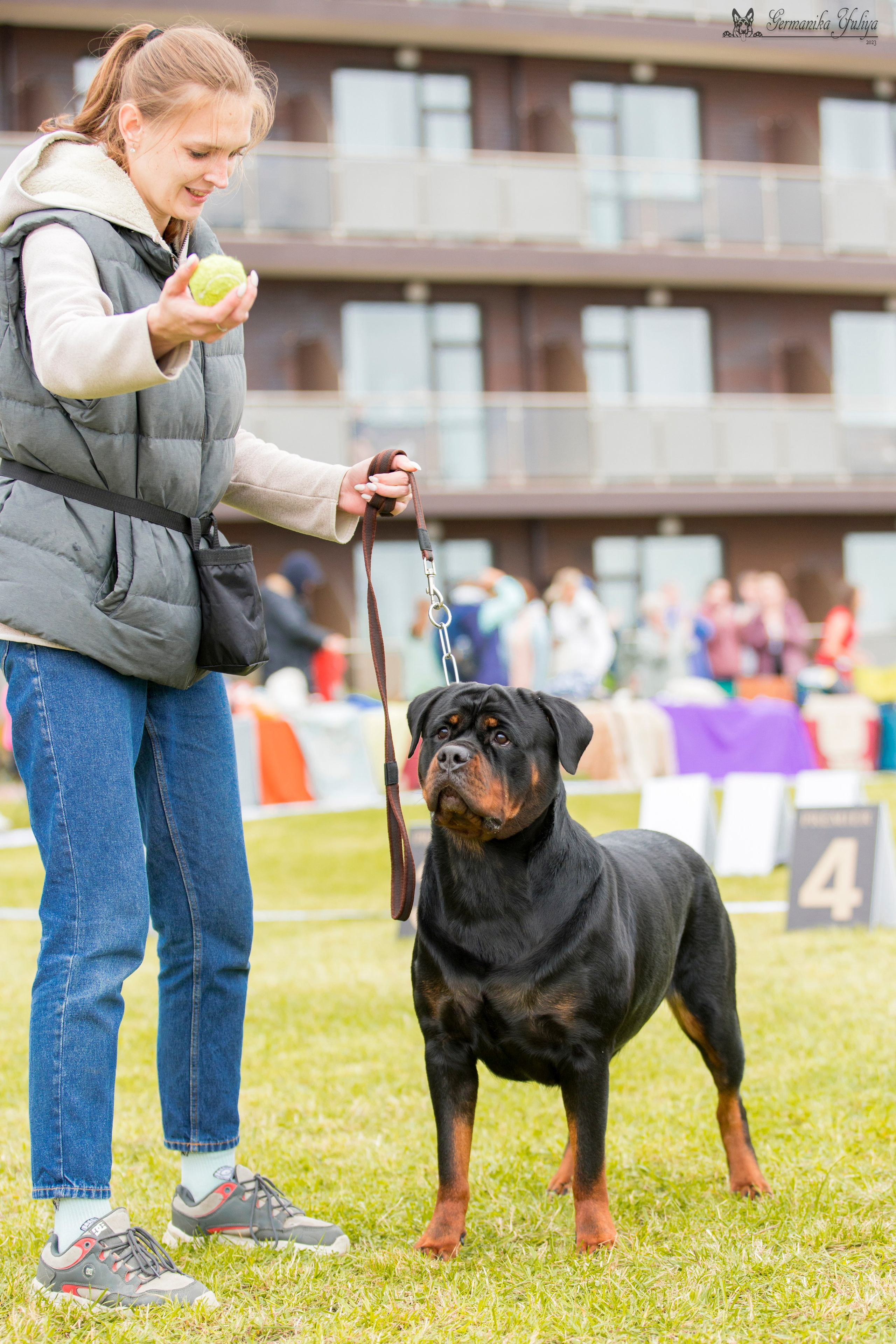 Переславль 9-10.09.2023. Фотограф-анималист Юлия Германика
