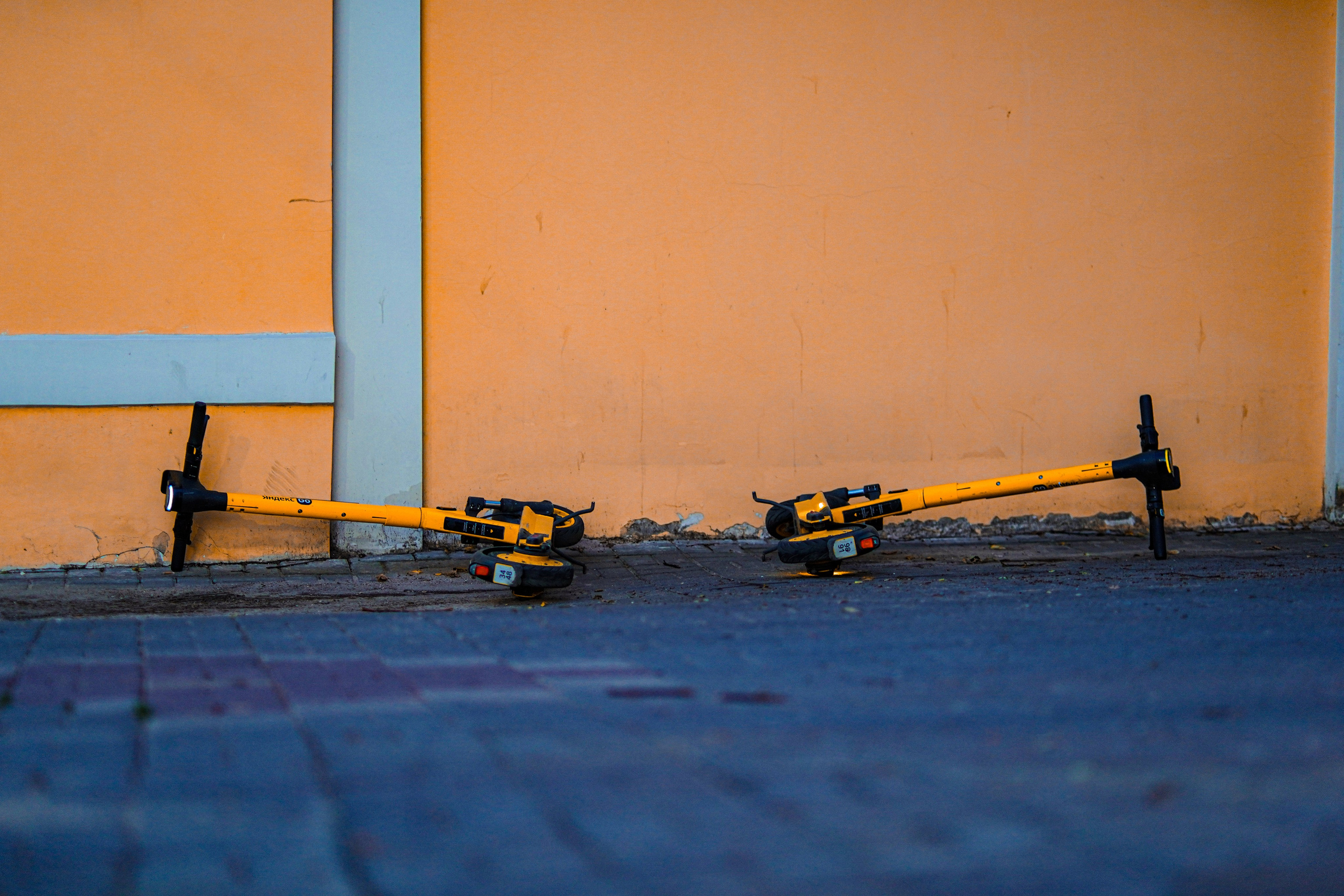 Одиночные. Фотограф Кузнецов Егор Липецк