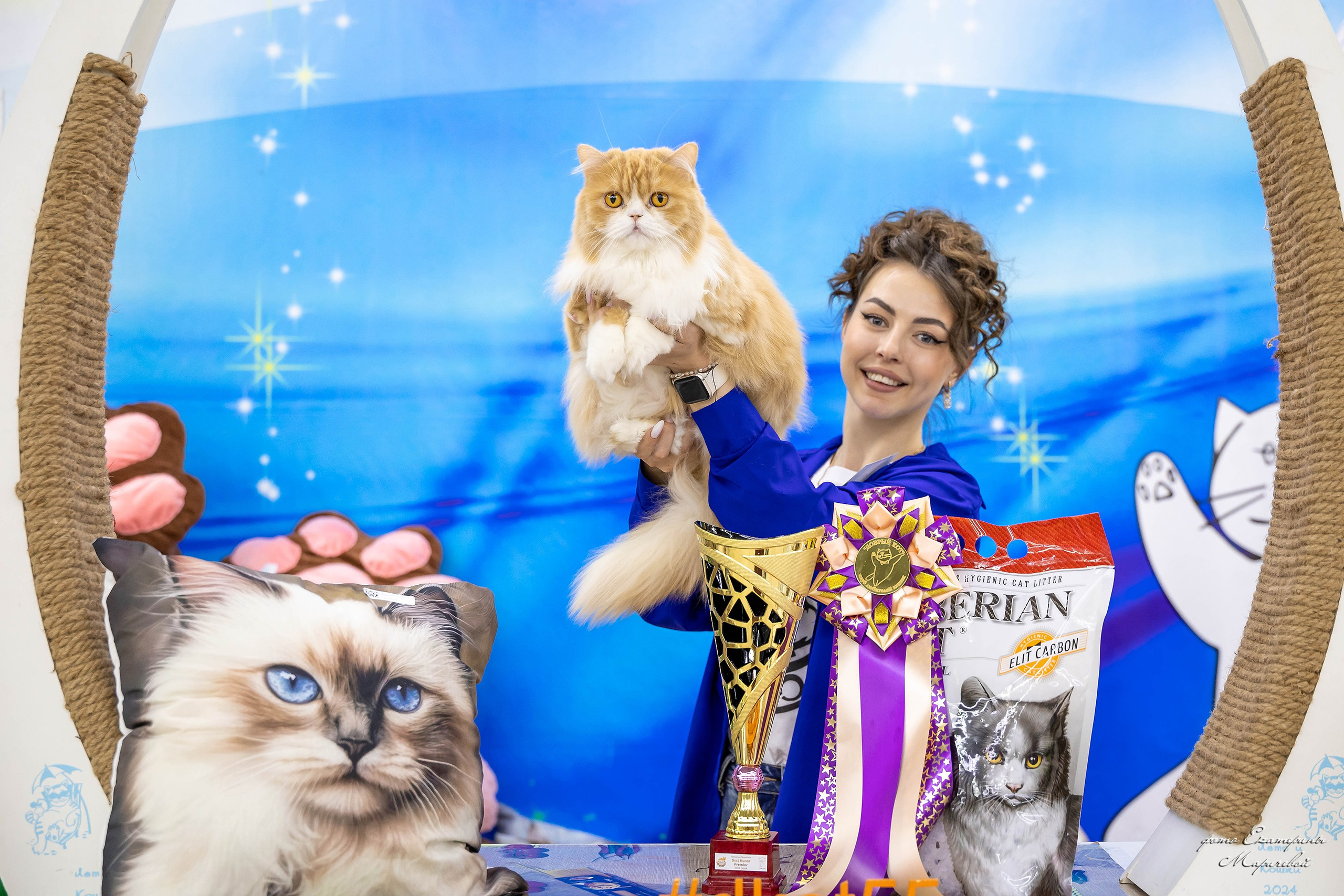 11–12 апреля — Интершоу — «Звездная Галактика Доброго Кота». Работаю со стендом. Фотограф-анималист в Омске Екатерина Маричева